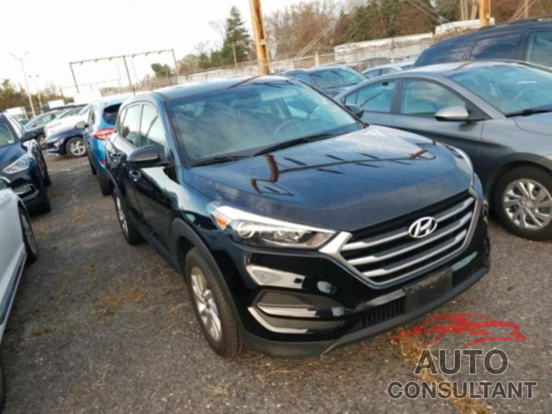 HYUNDAI TUCSON 2017 - KM8J23A44HU404890