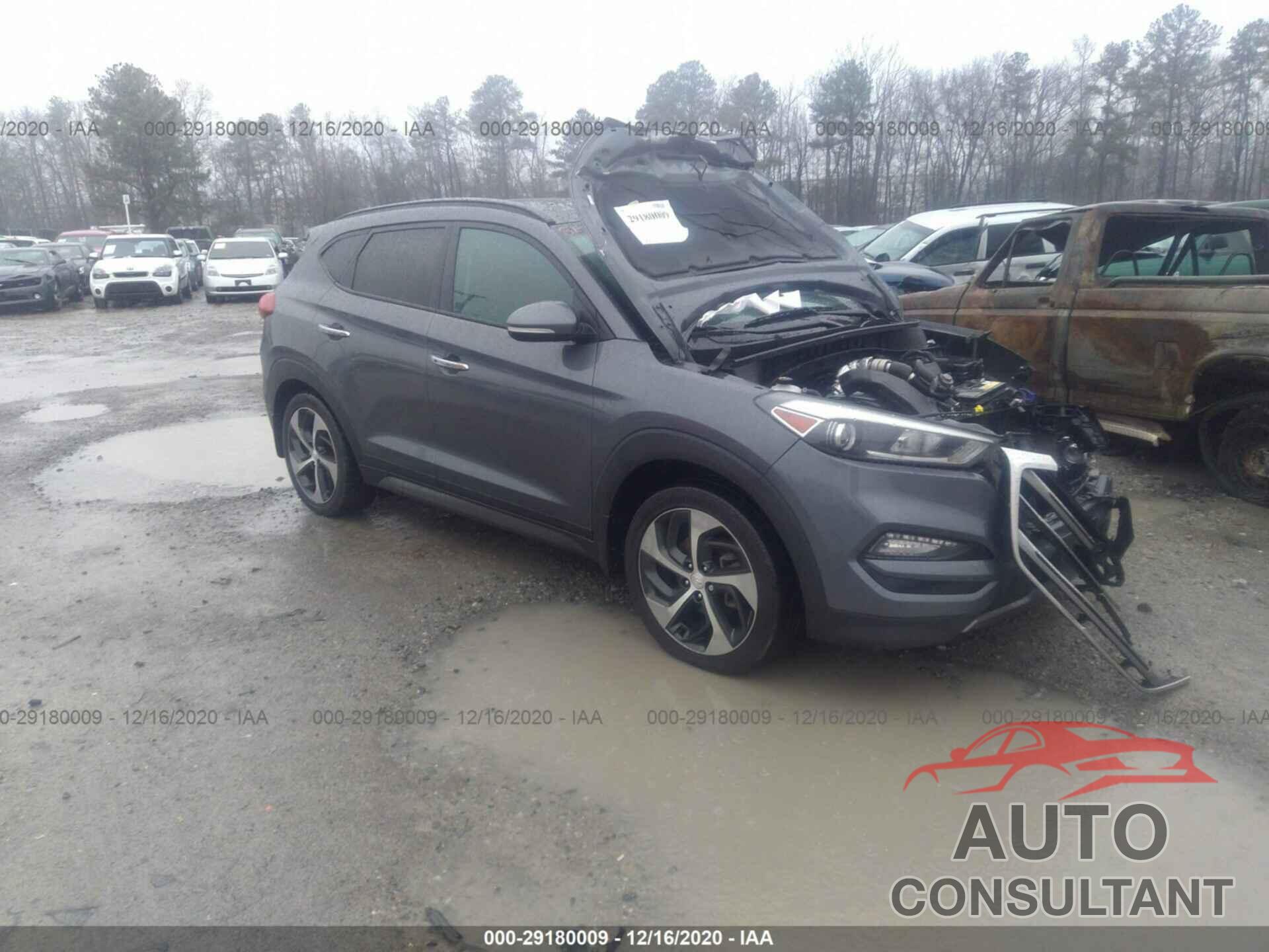 HYUNDAI TUCSON 2016 - KM8J3CA27GU127226