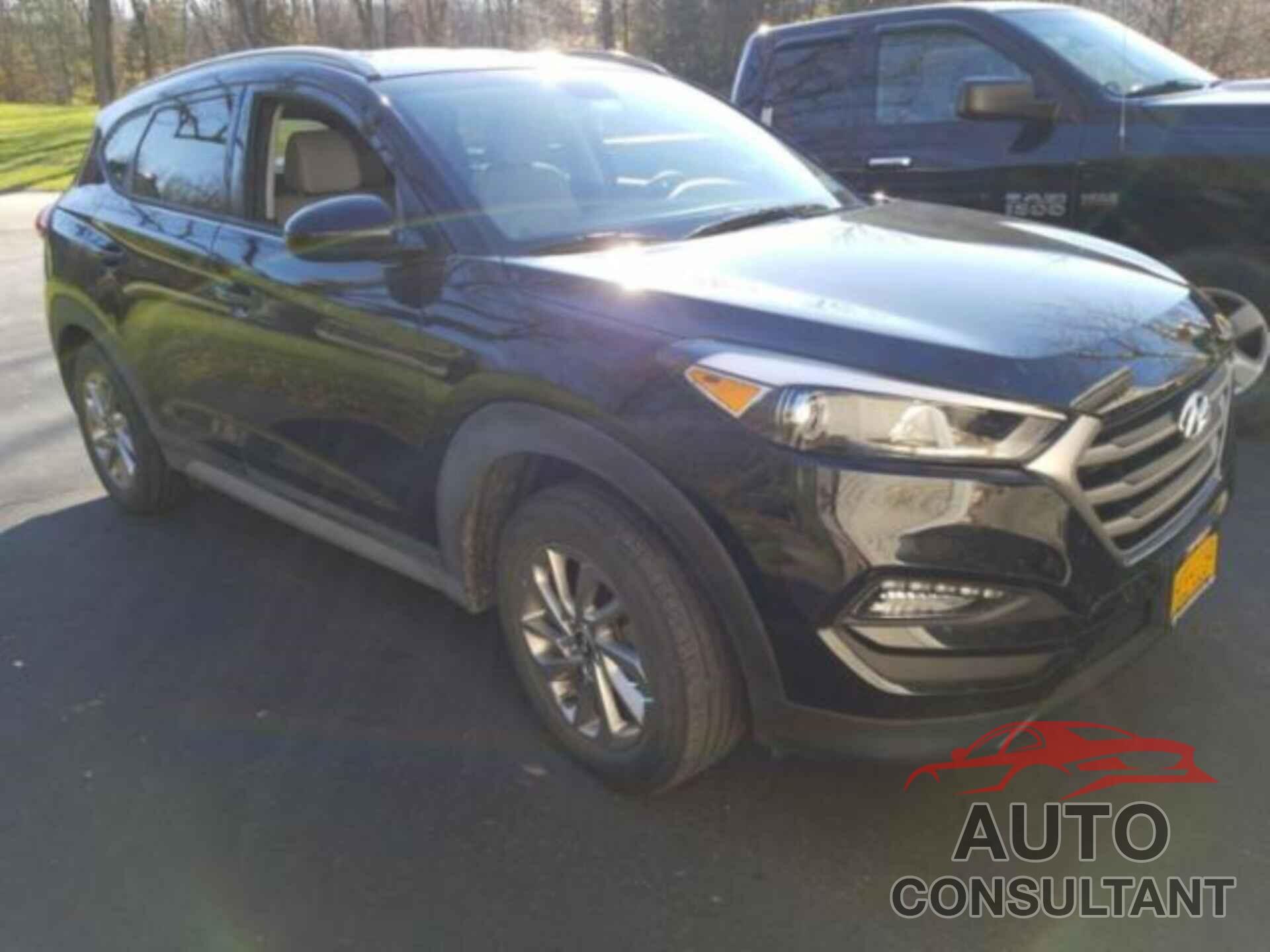 HYUNDAI TUCSON 2017 - KM8J3CA43HU428143