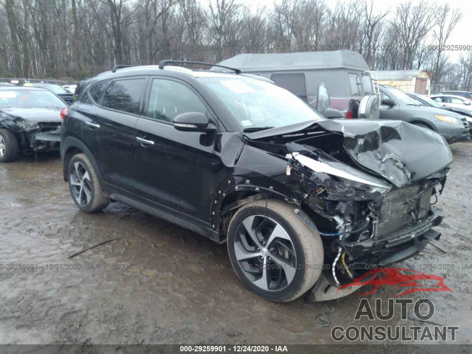 HYUNDAI TUCSON 2016 - KM8J33A22GU237407