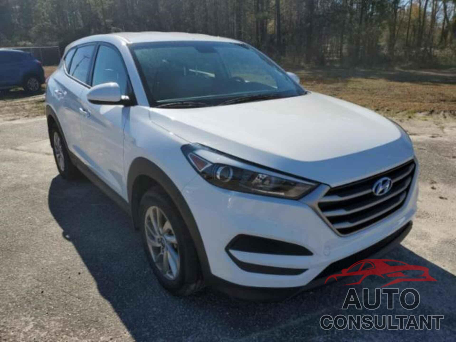 HYUNDAI TUCSON 2017 - KM8J23A43HU508318