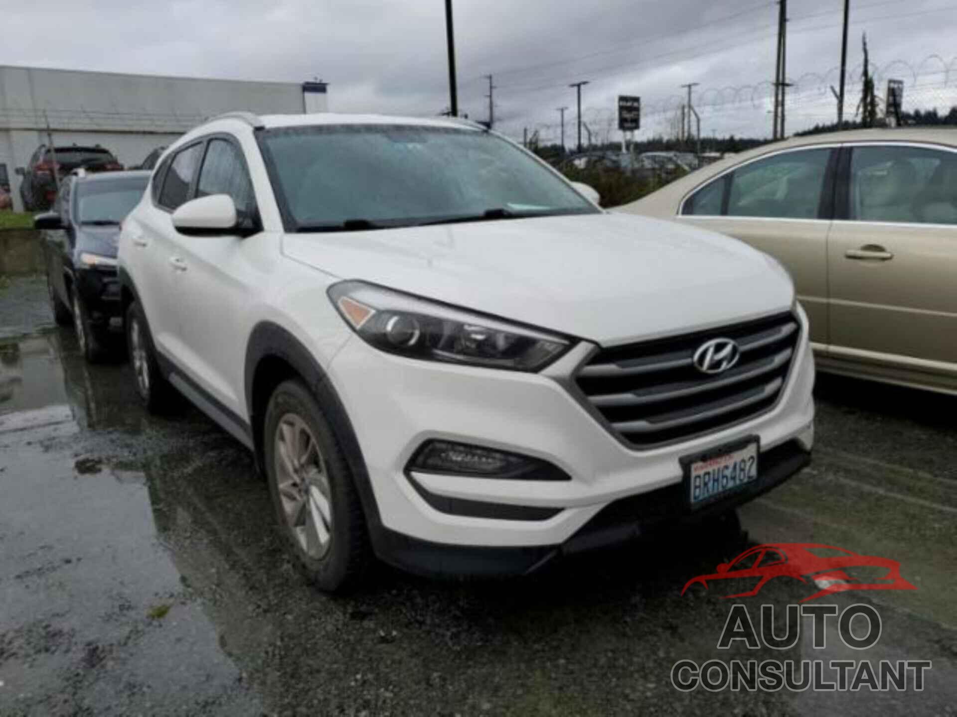 HYUNDAI TUCSON 2017 - KM8J33A44HU563986