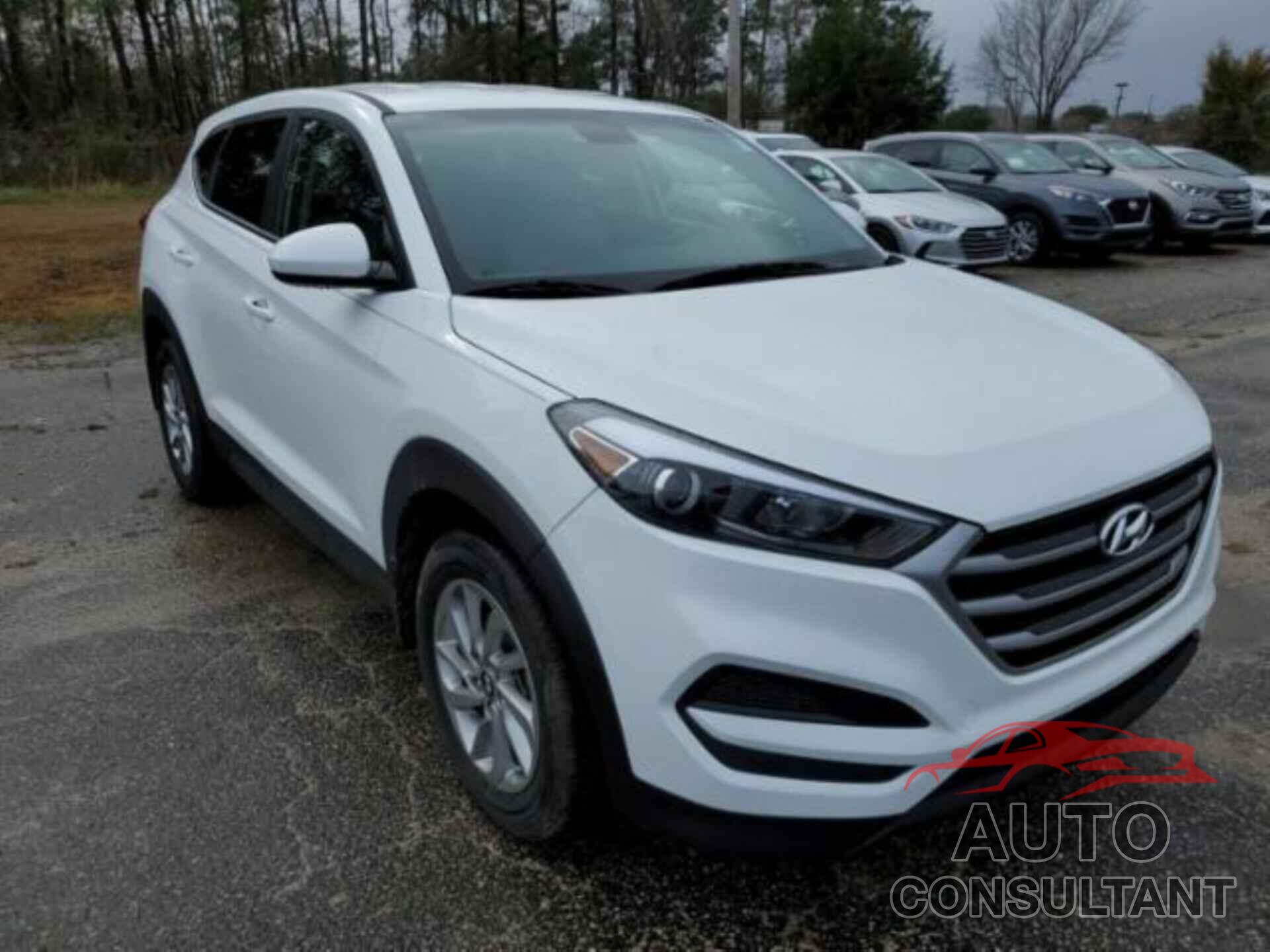 HYUNDAI TUCSON 2017 - KM8J23A48HU327425
