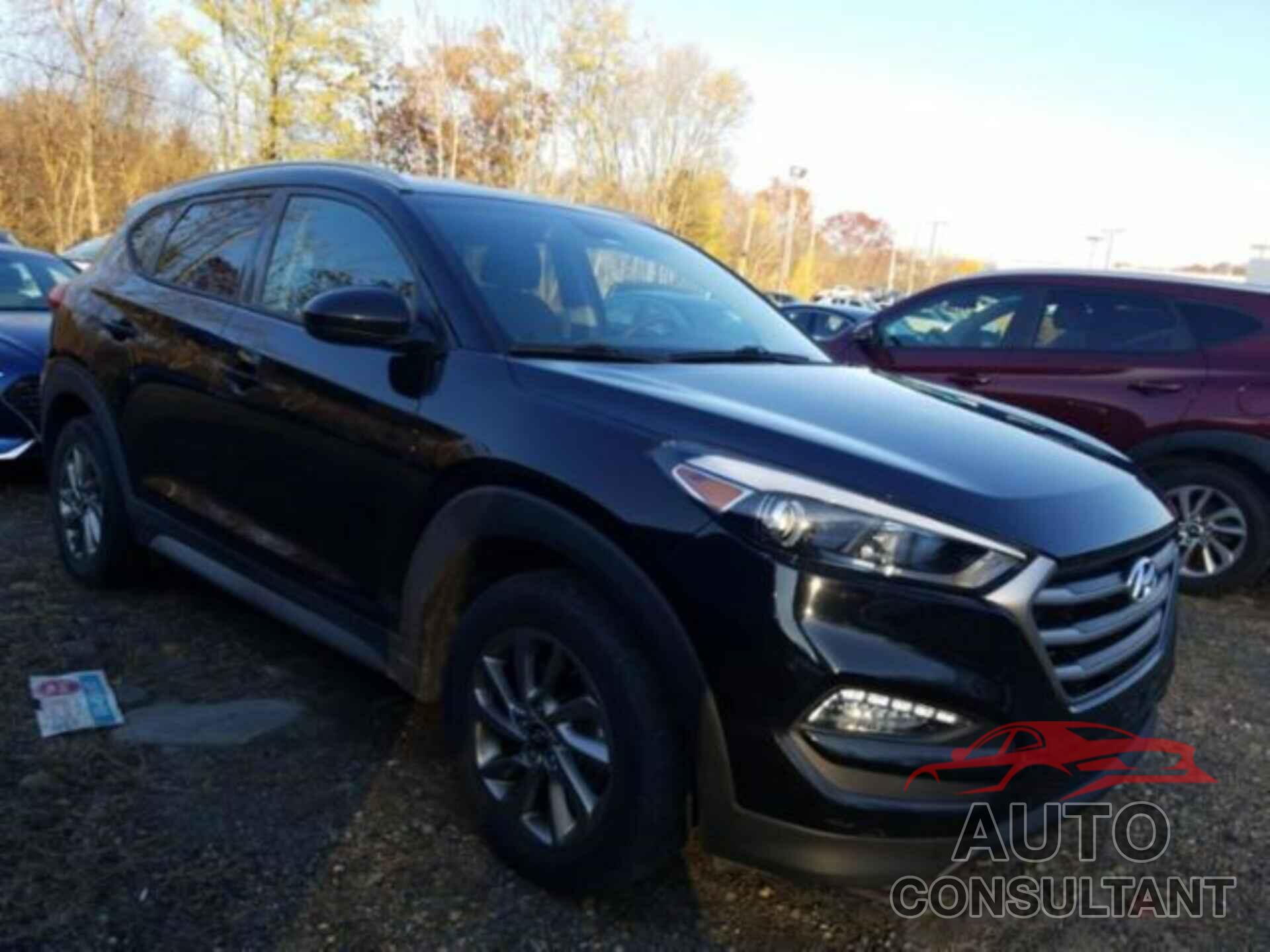 HYUNDAI TUCSON 2017 - KM8J3CA41HU555750