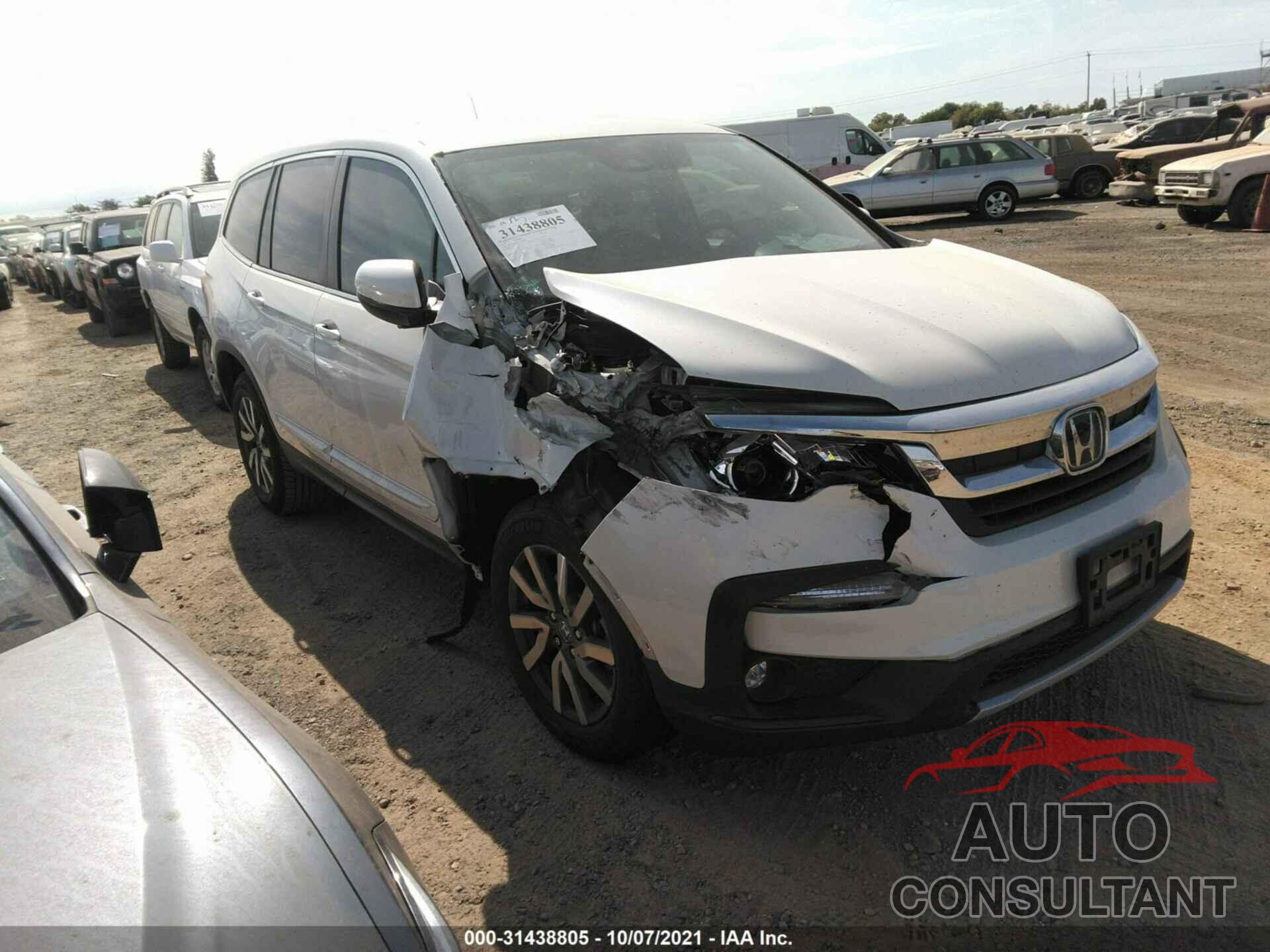 HONDA PILOT 2019 - 5FNYF5H3XKB019799
