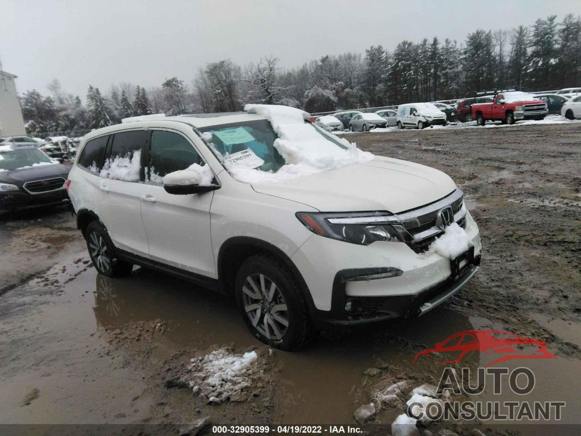 HONDA PILOT 2019 - 5FNYF6H50KB055198