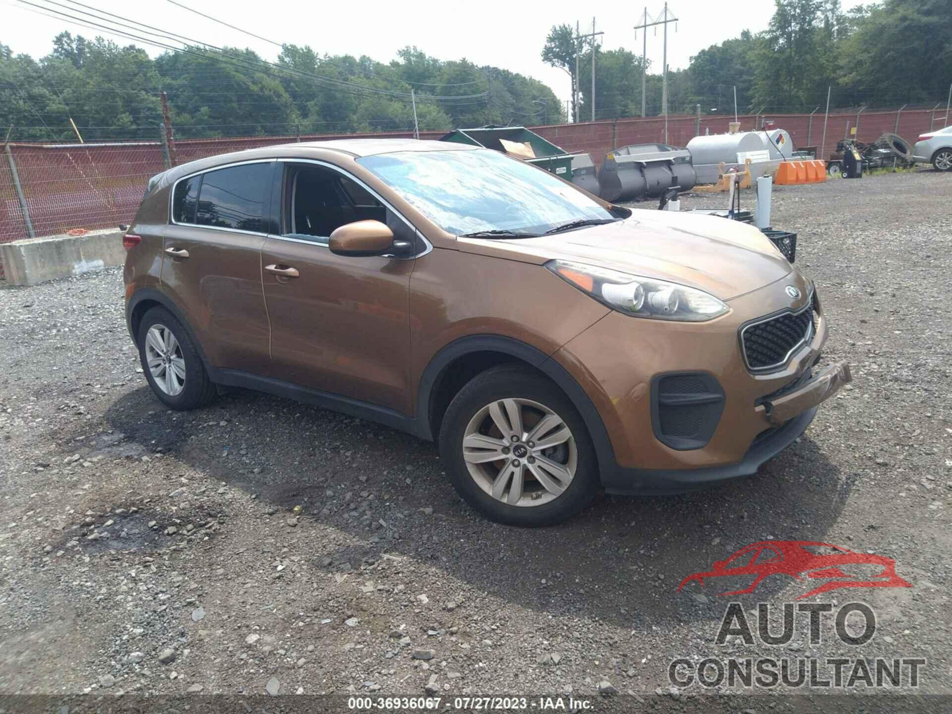 KIA SPORTAGE 2017 - KNDPM3AC4H7036290