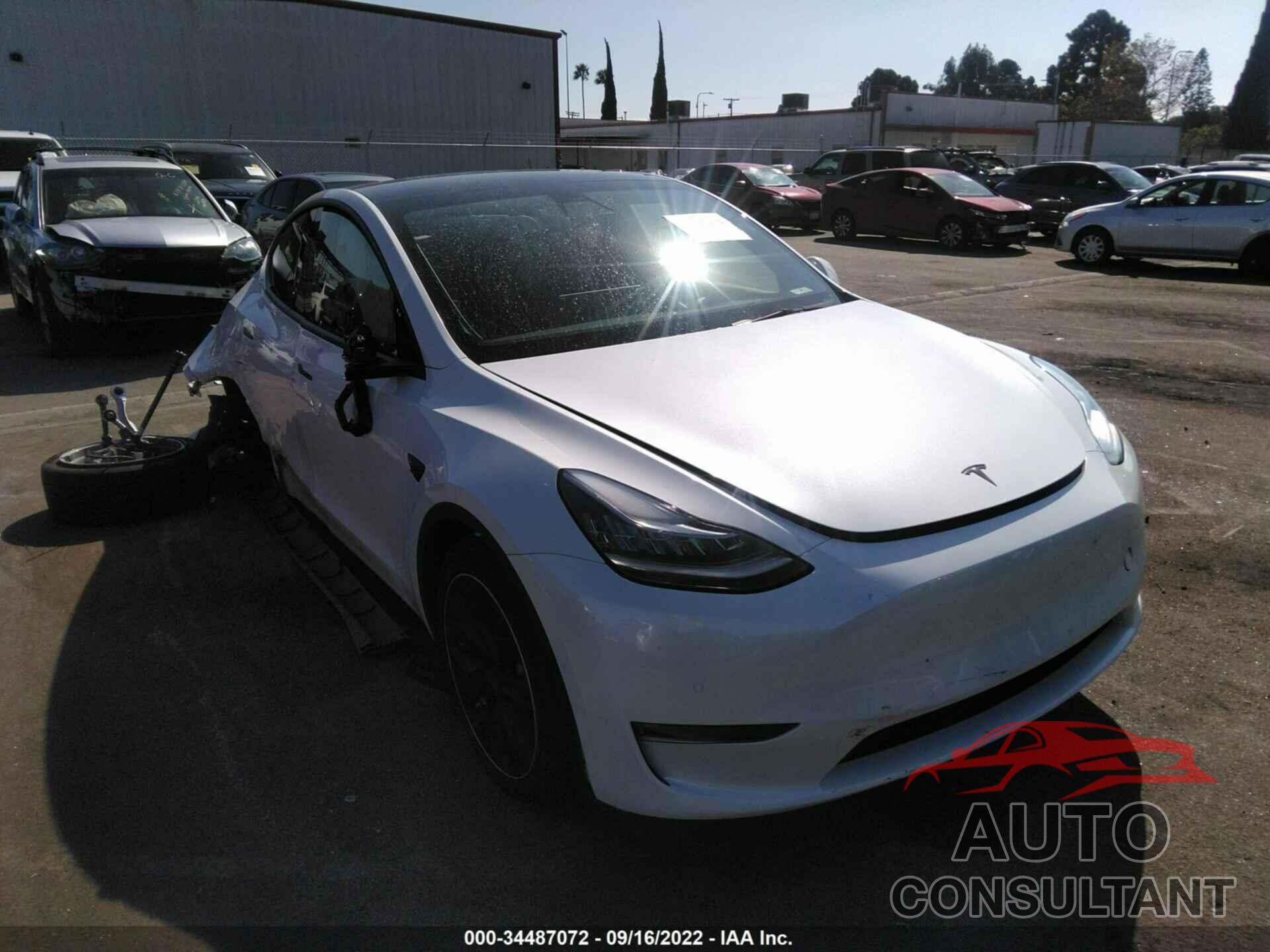 TESLA MODEL Y 2021 - 5YJYGDEE3MF179801