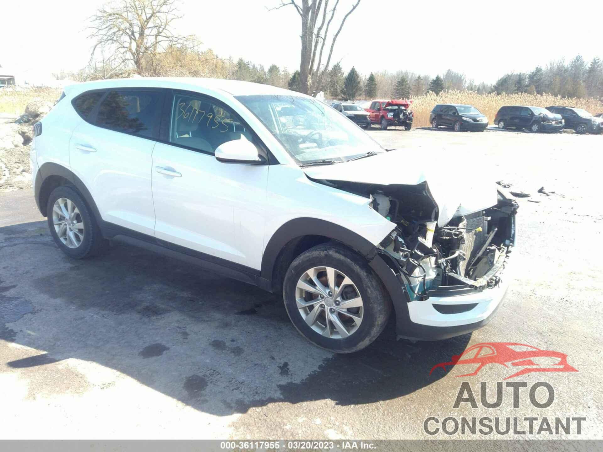 HYUNDAI TUCSON 2019 - KM8J23A44KU913417