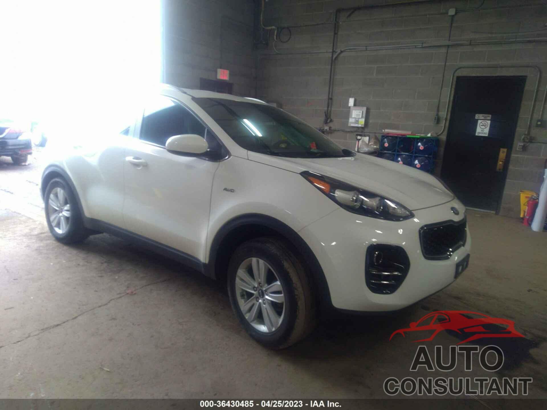 KIA SPORTAGE 2019 - KNDPMCAC4K7625444