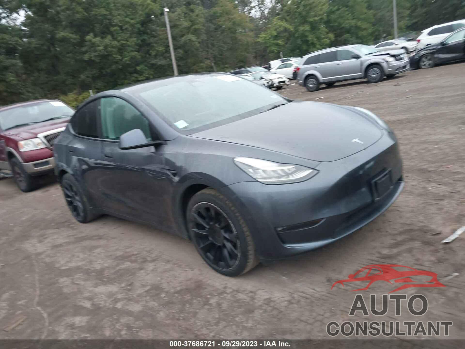 TESLA MODEL Y 2021 - 5YJYGAEE7MF143544