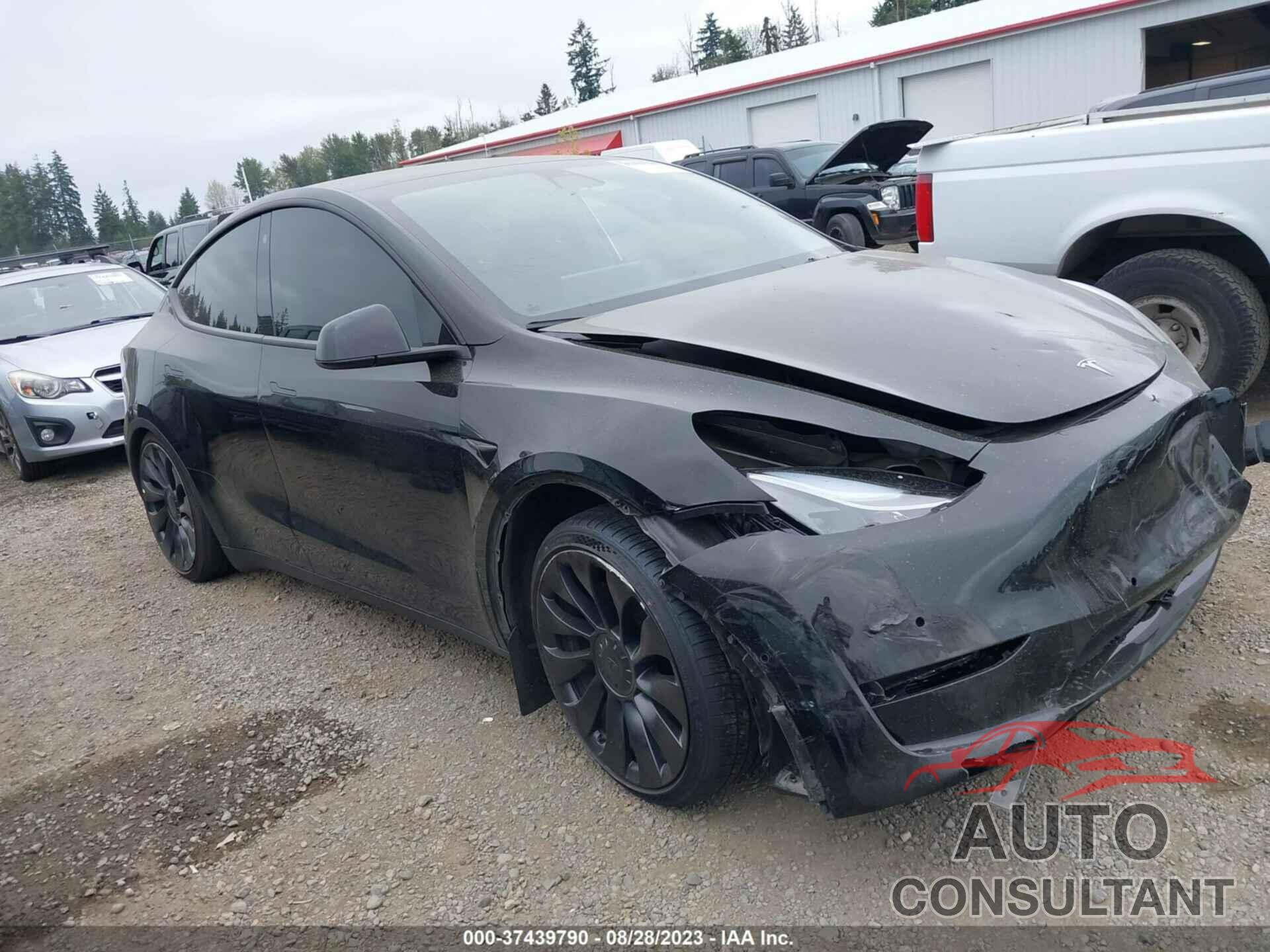 TESLA MODEL Y 2022 - 7SAYGDEF9NF407720