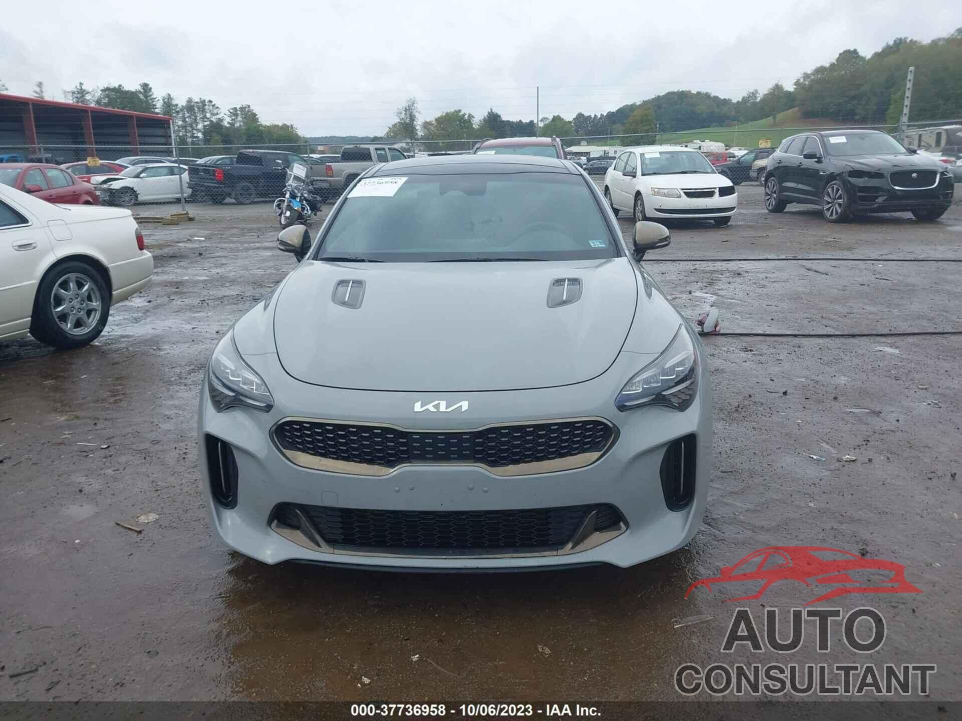 KIA STINGER 2022 - KNAE35LD6N6118449