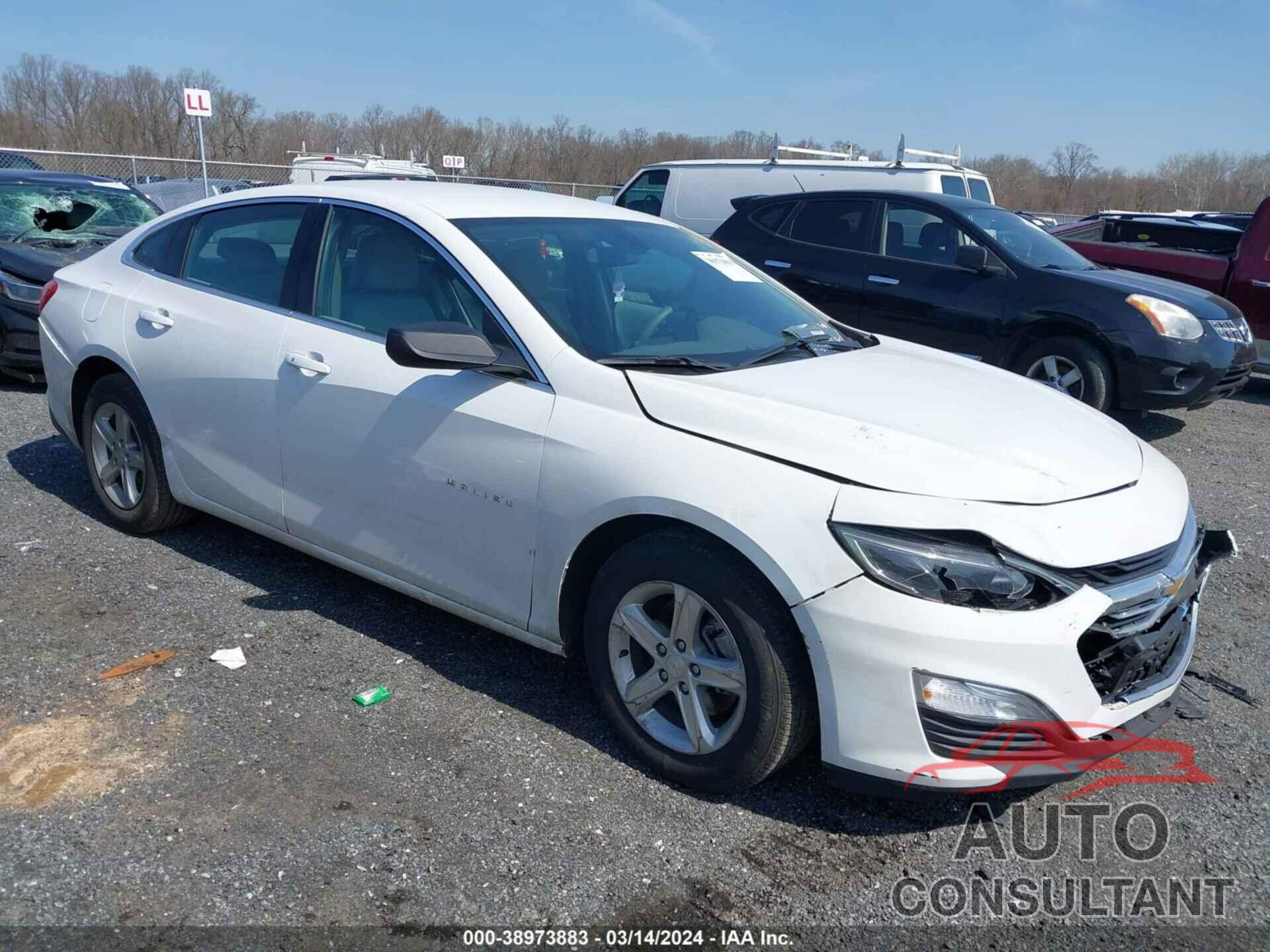 CHEVROLET MALIBU 2021 - 1G1ZB5ST1MF077395