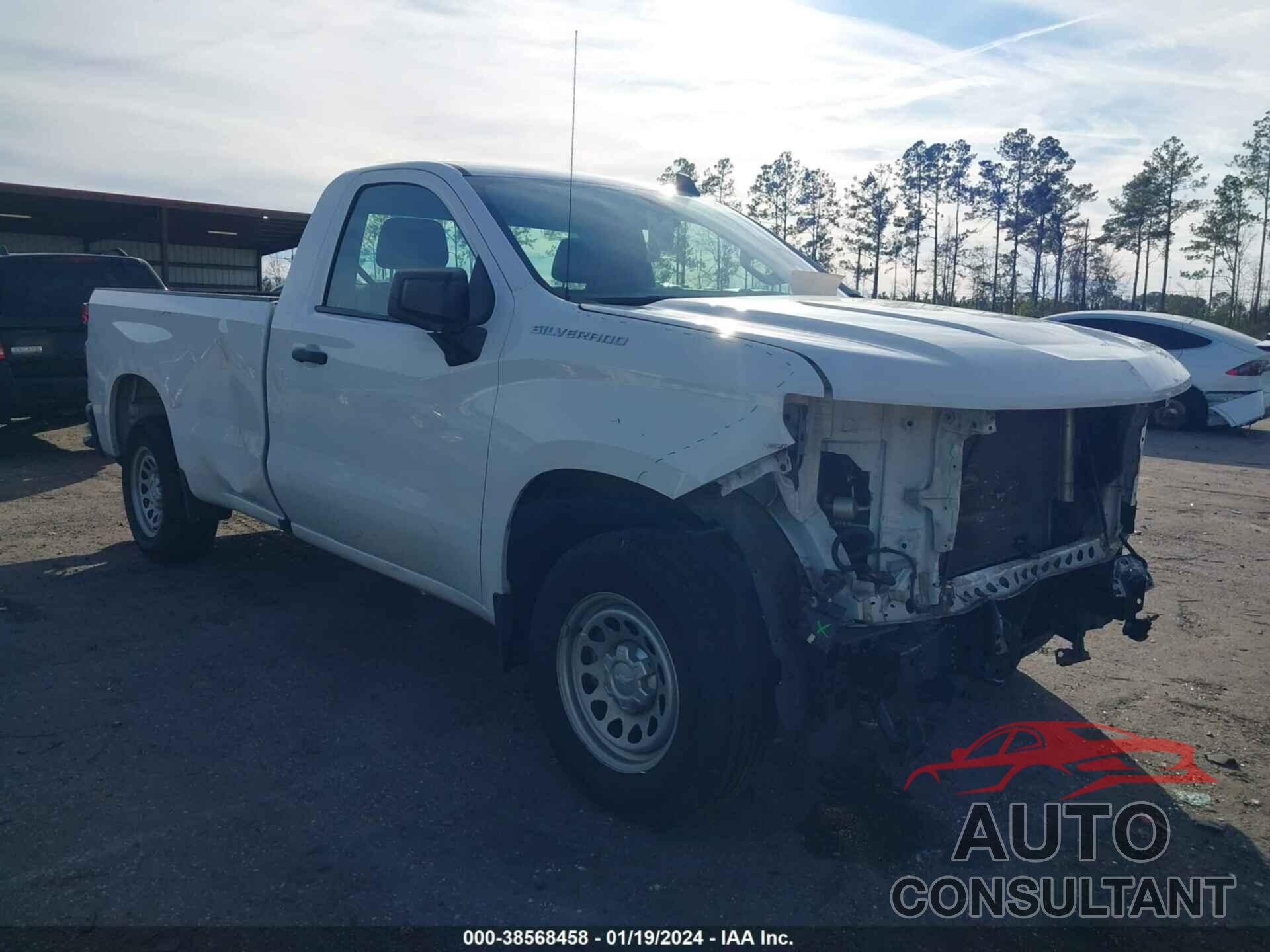 CHEVROLET SILVERADO 1500 2019 - 3GCNWAEH2KG263582