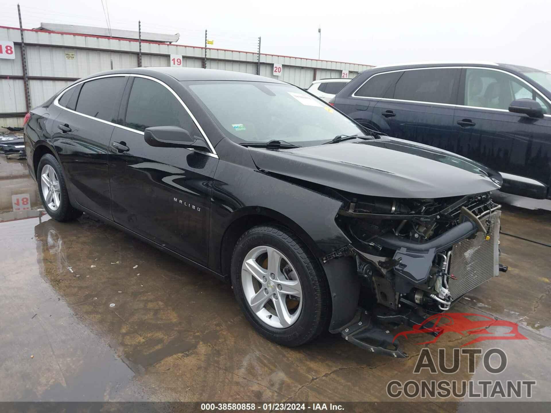 CHEVROLET MALIBU 2019 - 1G1ZB5STXKF185799