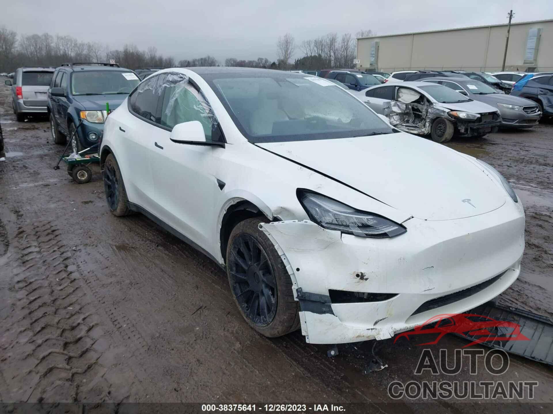 TESLA MODEL Y 2021 - 5YJYGDEE3MF179426