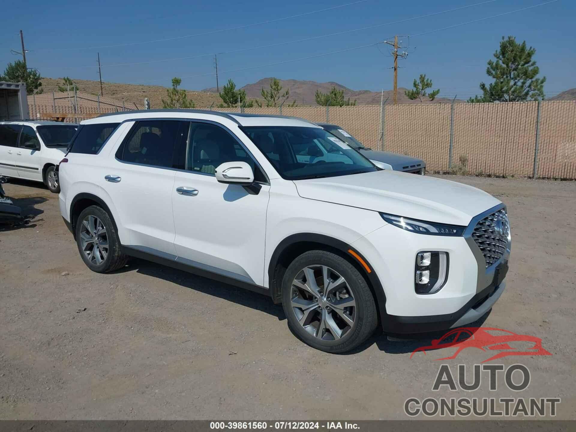 HYUNDAI PALISADE 2020 - KM8R3DHEXLU061466