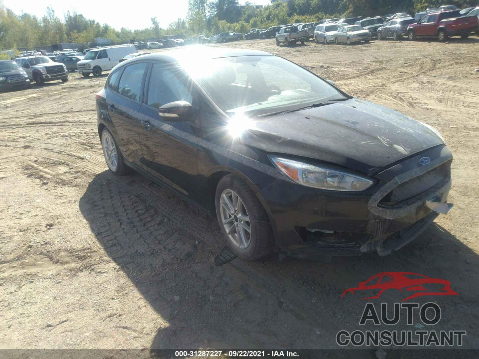 FORD FOCUS 2017 - 1FADP3K26HL247911