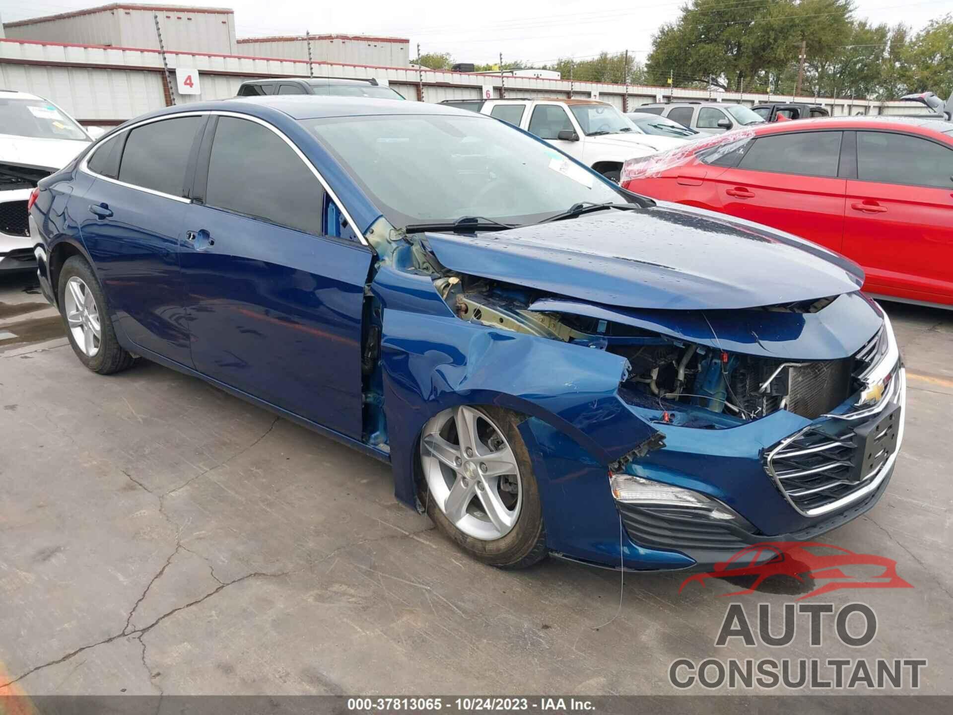CHEVROLET MALIBU 2019 - 1G1ZB5ST9KF199743