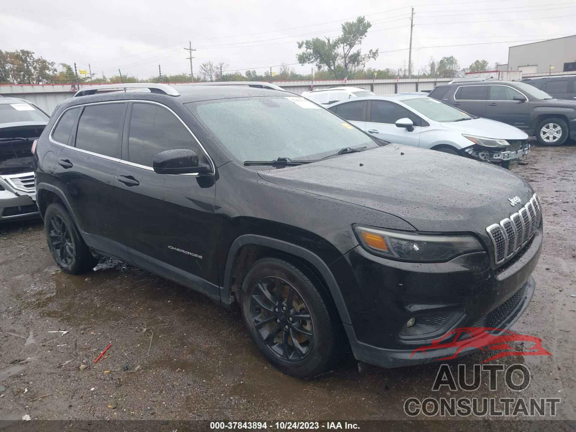 JEEP CHEROKEE 2019 - 1C4PJLCB0KD108804