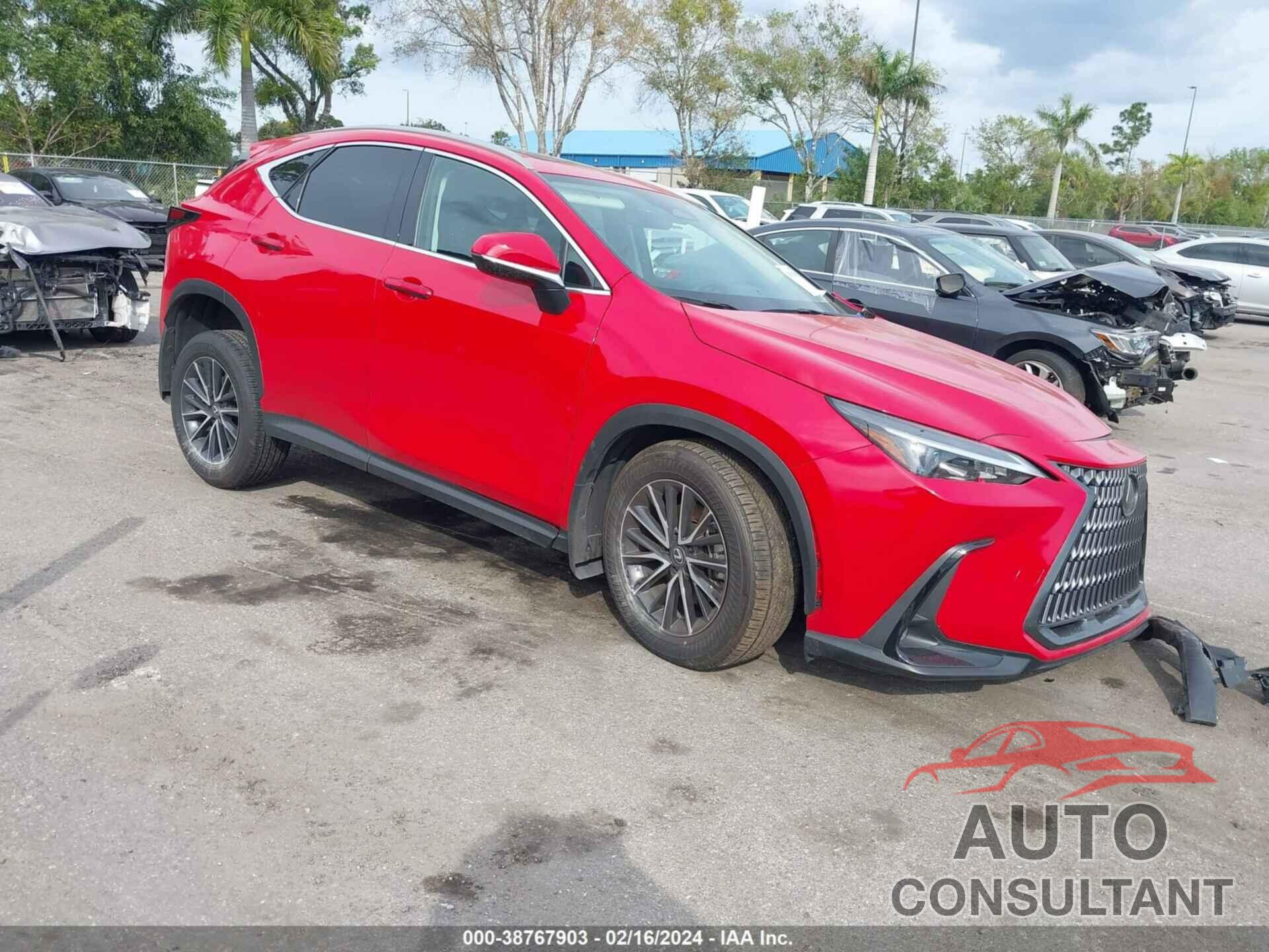 LEXUS NX 250 2024 - 2T2GDCAZXRC009398