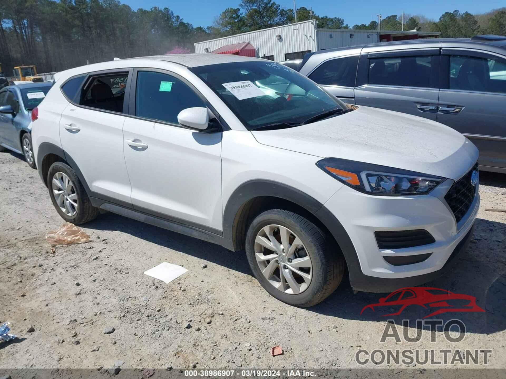 HYUNDAI TUCSON 2019 - KM8J23A45KU029387