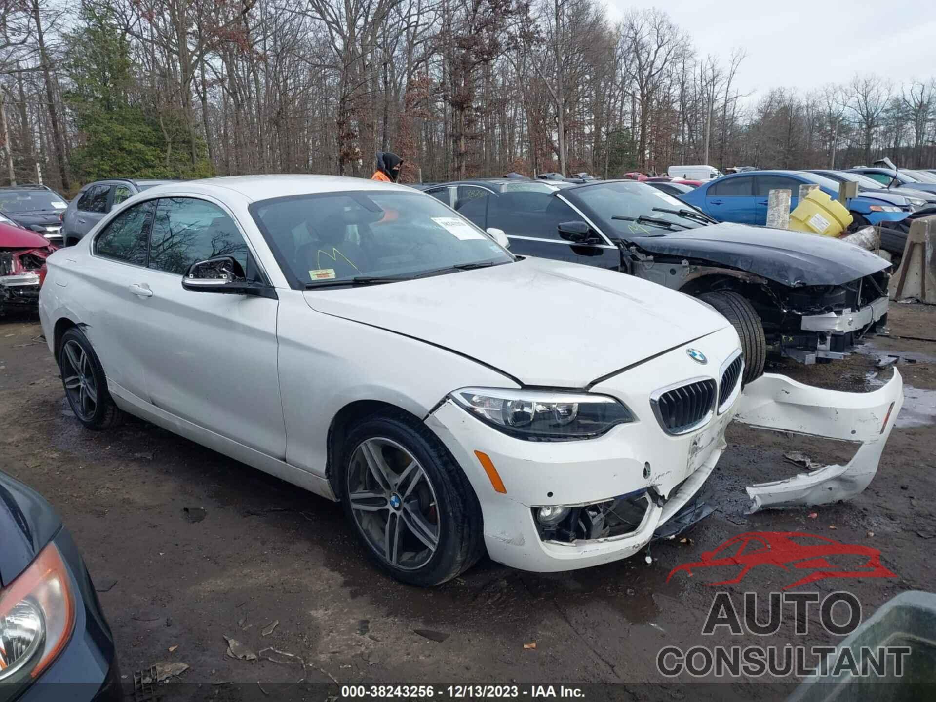 BMW 230I 2017 - WBA2F9C38HV664785