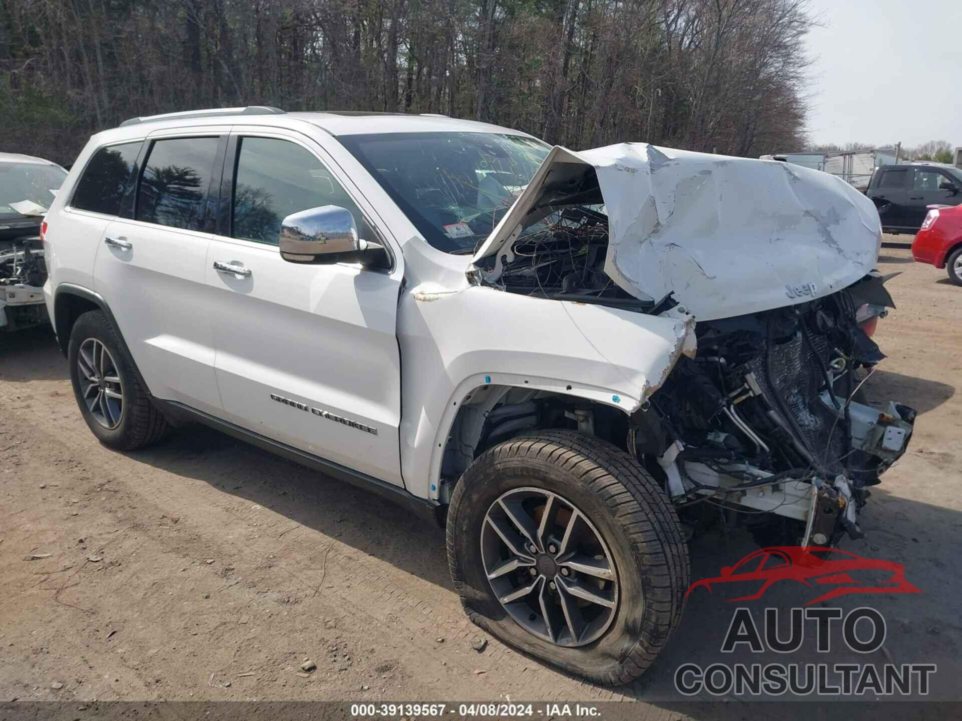 JEEP GRAND CHEROKEE 2019 - 1C4RJFBG7KC713075