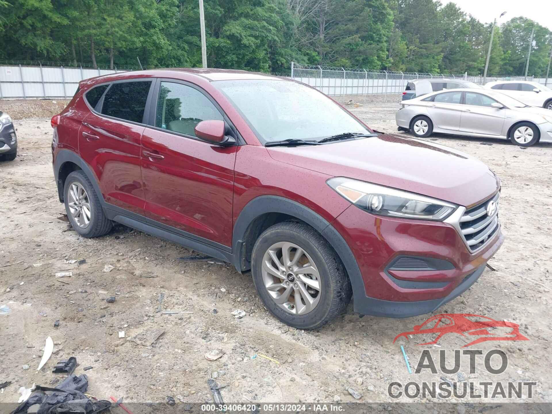 HYUNDAI TUCSON 2017 - KM8J23A46HU445392