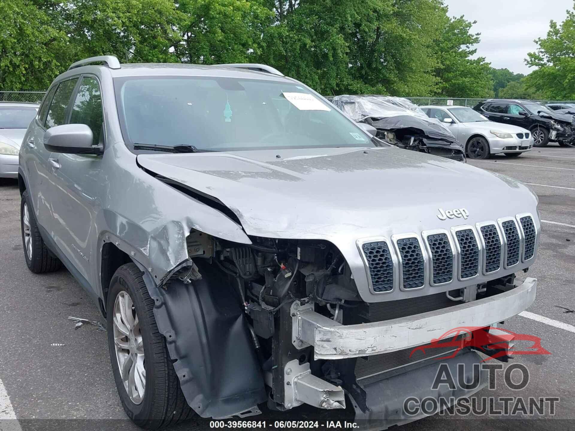 JEEP CHEROKEE 2019 - 1C4PJLCB1KD131475