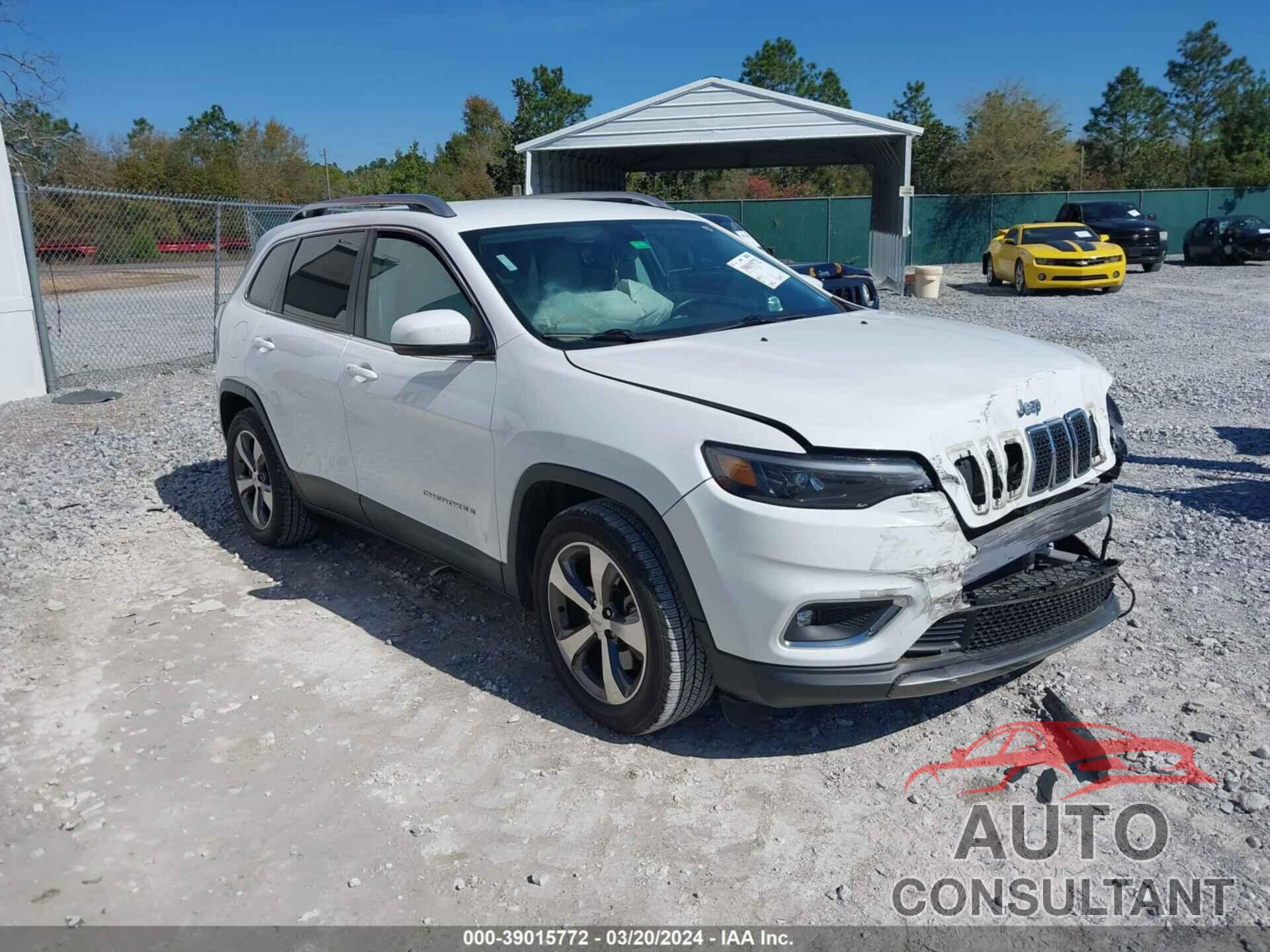 JEEP CHEROKEE 2019 - 1C4PJLDBXKD123244