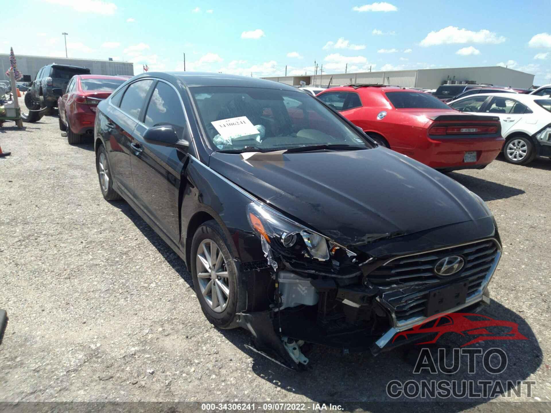 HYUNDAI SONATA 2019 - 5NPE24AF1KH795754
