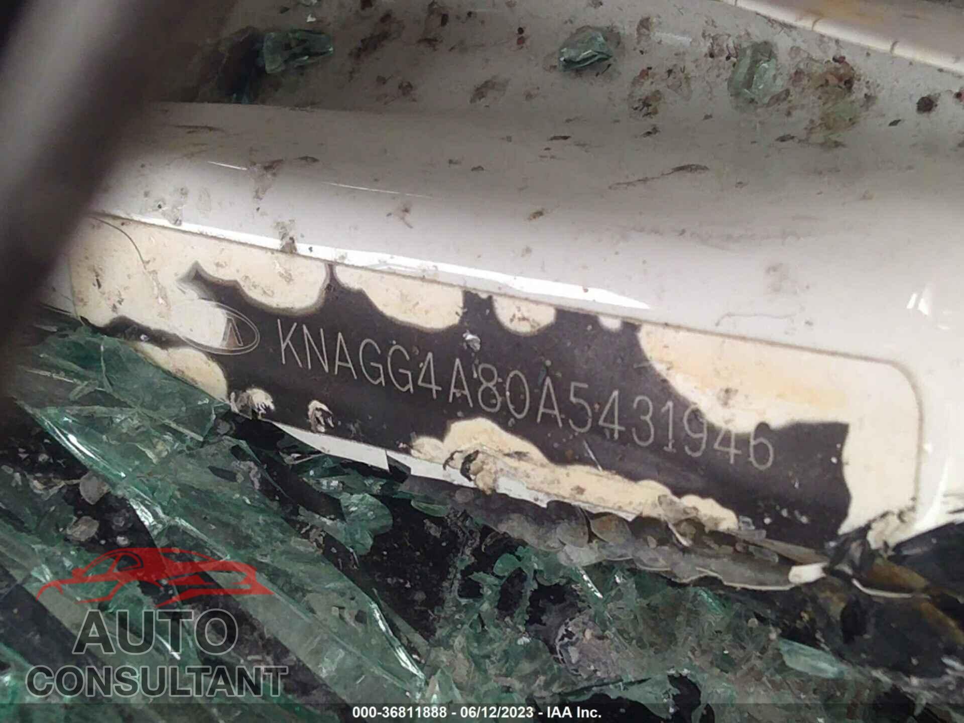 KIA OPTIMA 2010 - KNAGG4A80A5431946