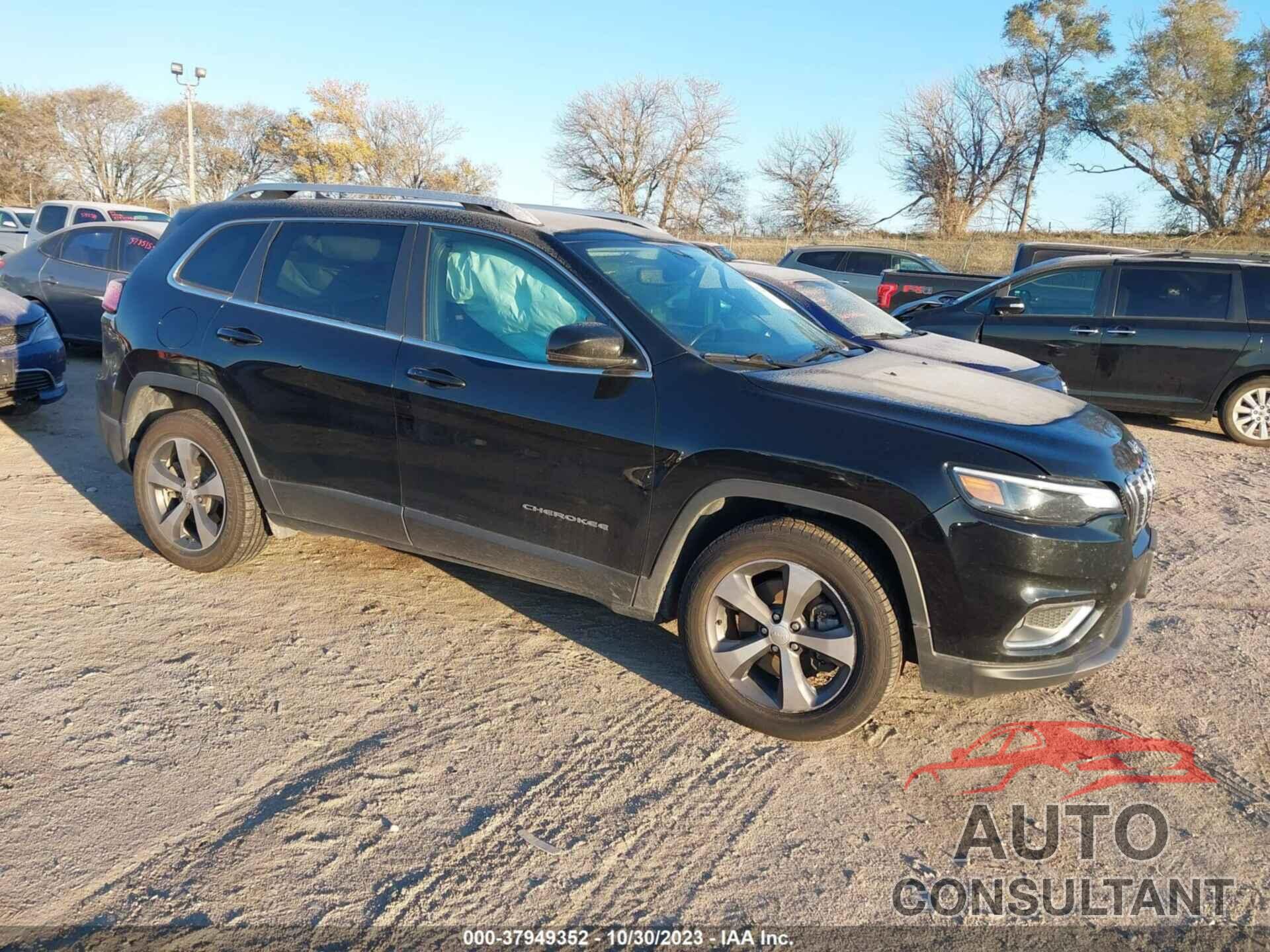 JEEP CHEROKEE 2019 - 1C4PJMDX1KD139916