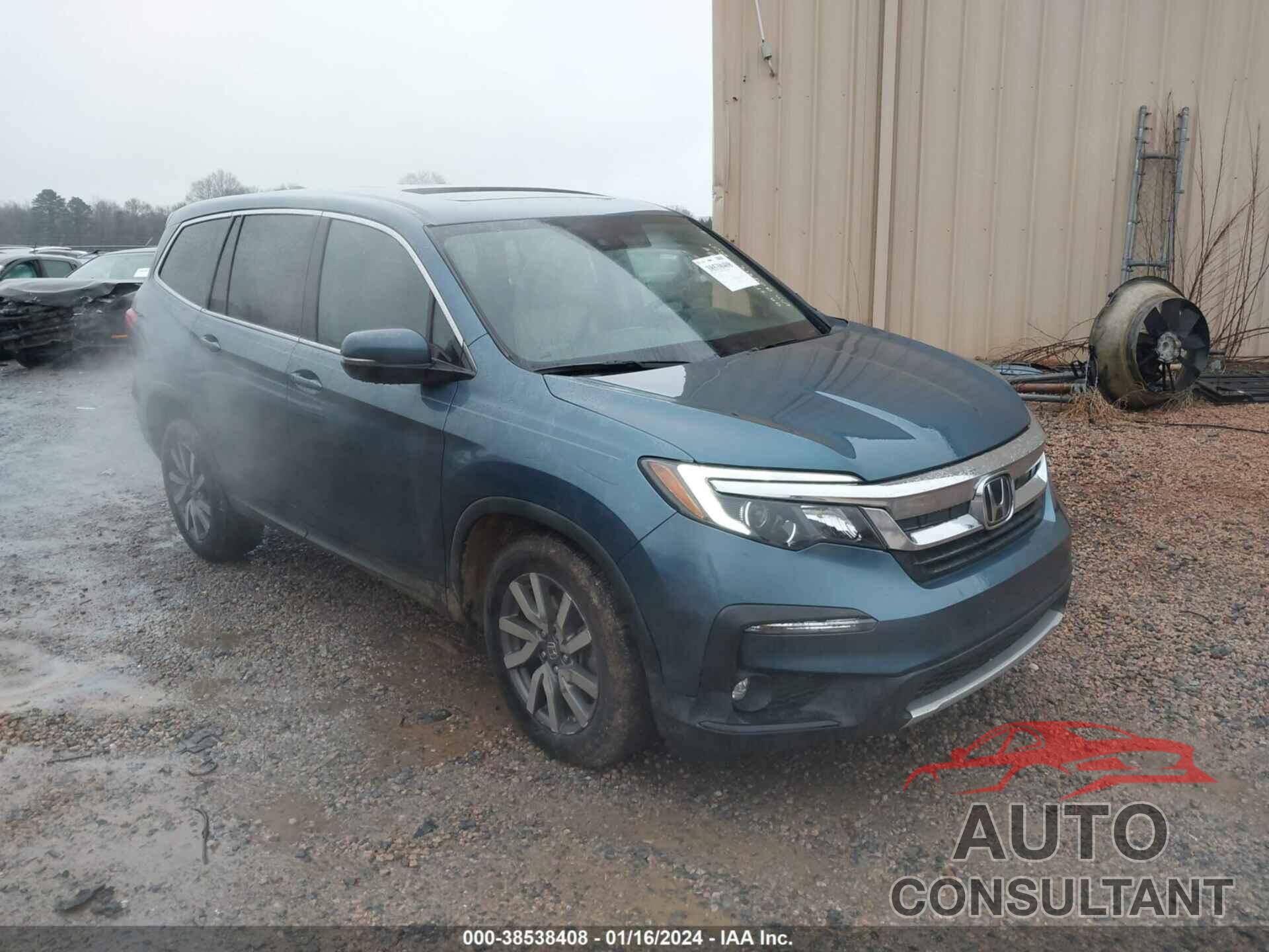 HONDA PILOT 2019 - 5FNYF5H50KB042512