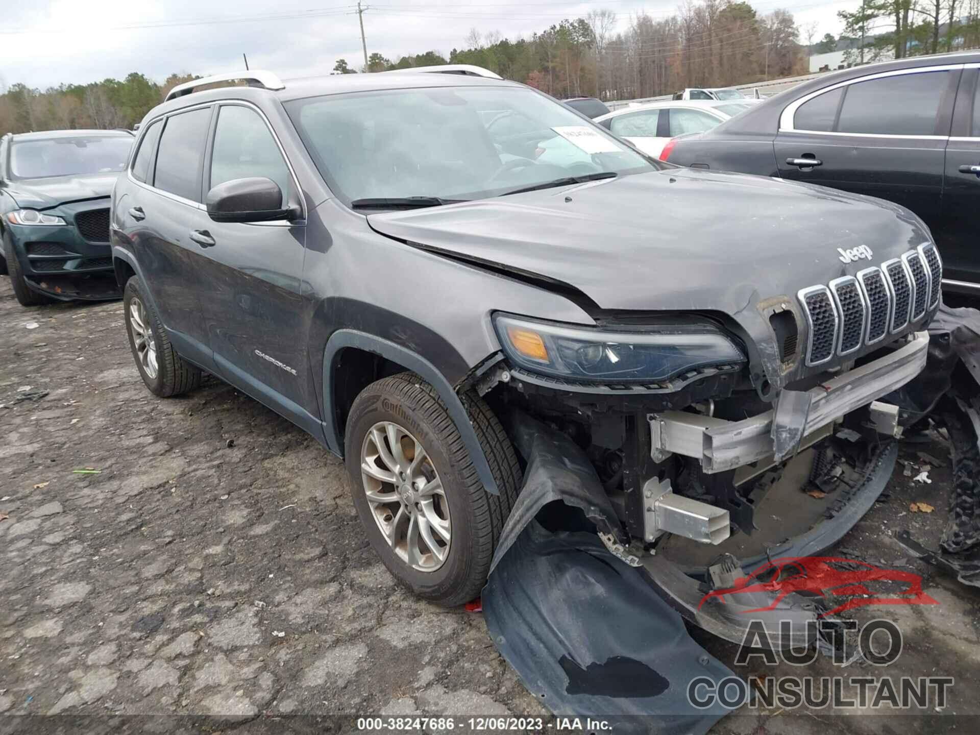 JEEP CHEROKEE 2019 - 1C4PJMLB5KD101496