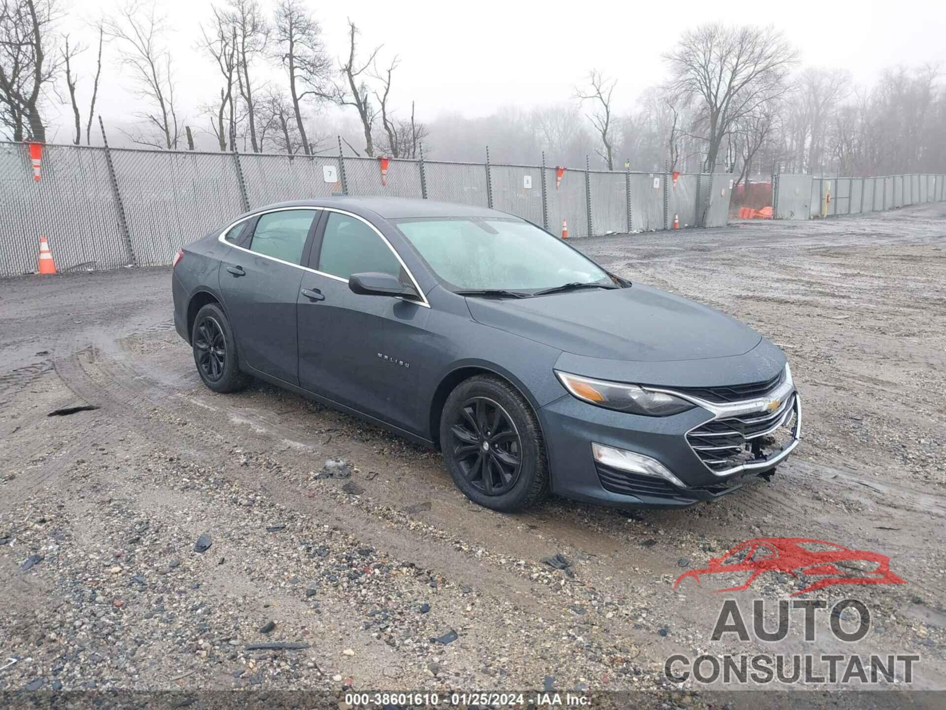 CHEVROLET MALIBU 2019 - 1G1ZD5STXKF200750