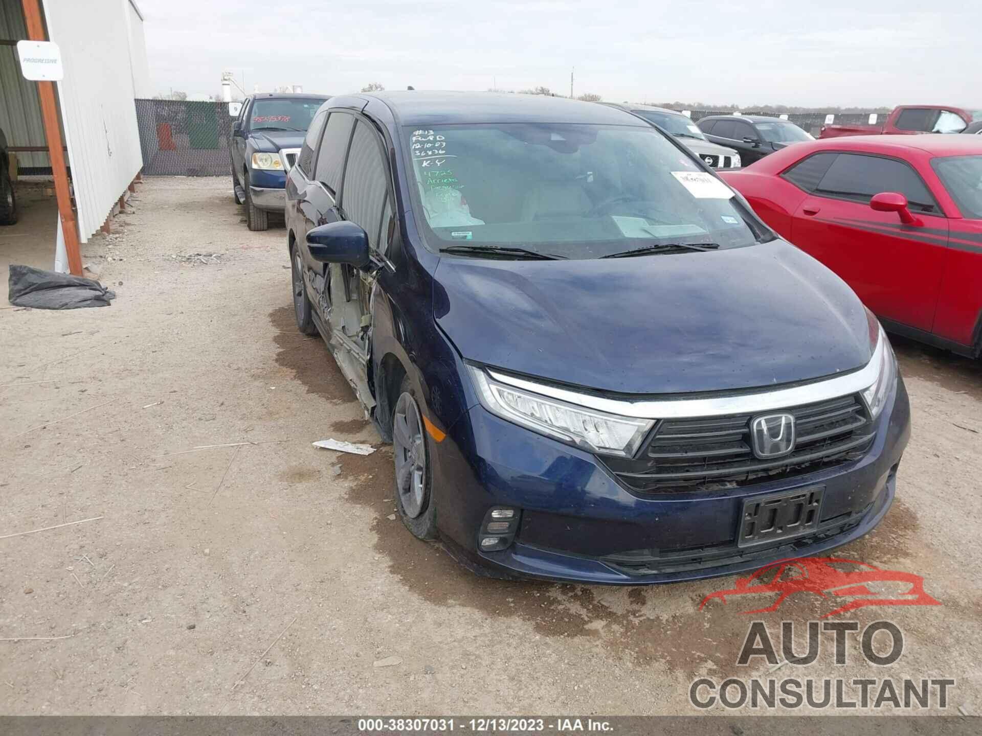 HONDA ODYSSEY 2021 - 5FNRL6H56MB043850