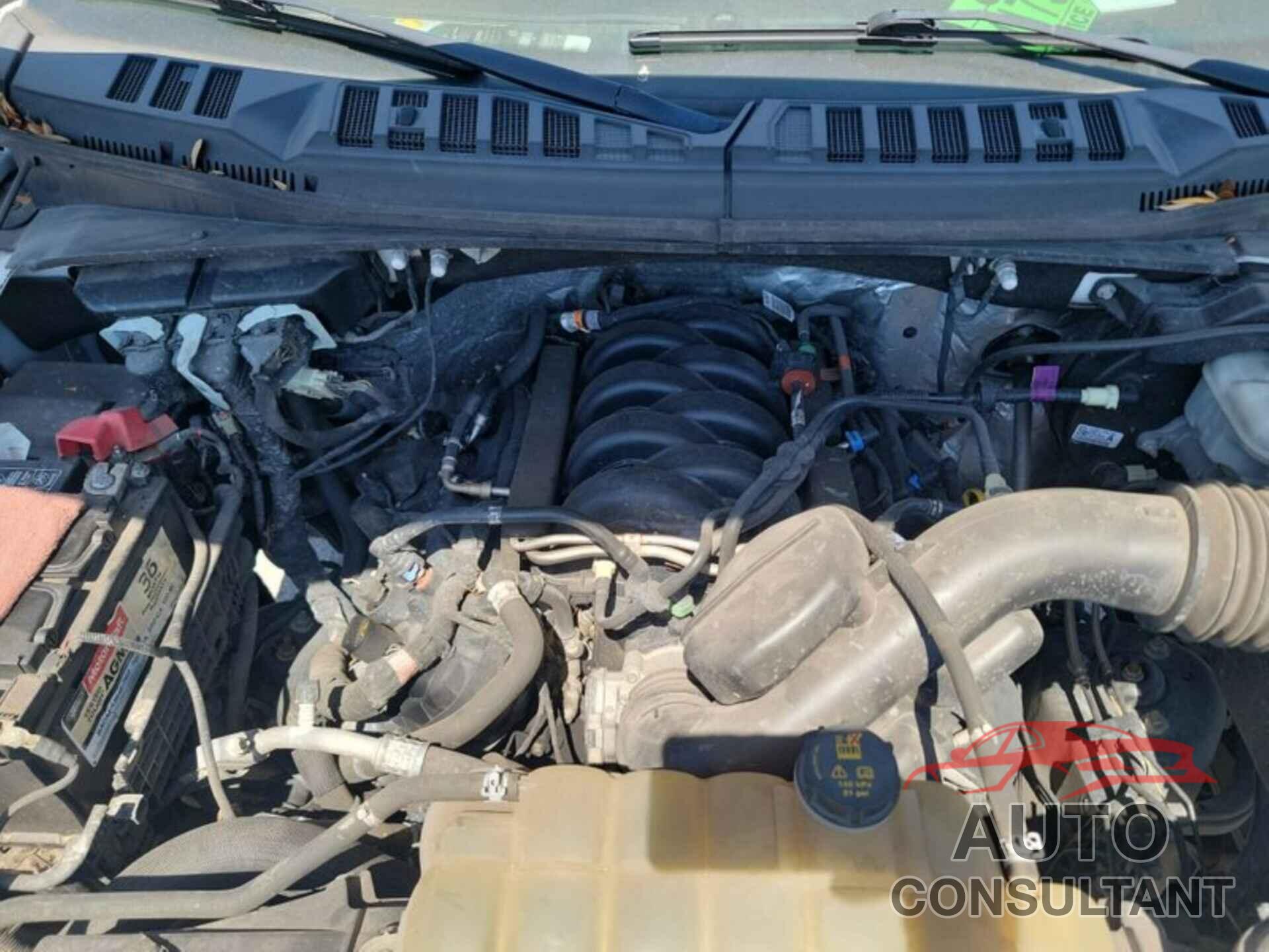 FORD F-150 2019 - 1FTFW1E54KFB58831