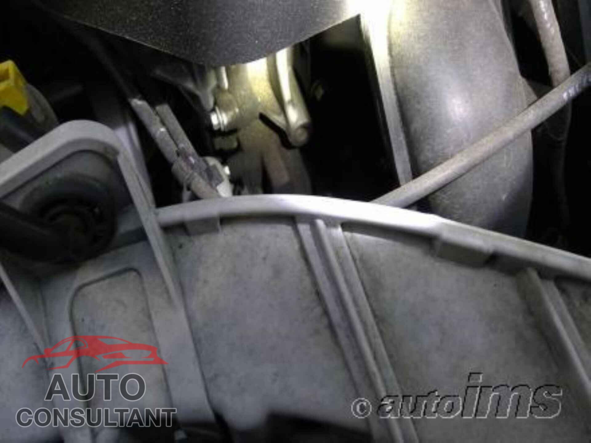 FORD C-MAX 2016 - 1FADP5AUXGL119703