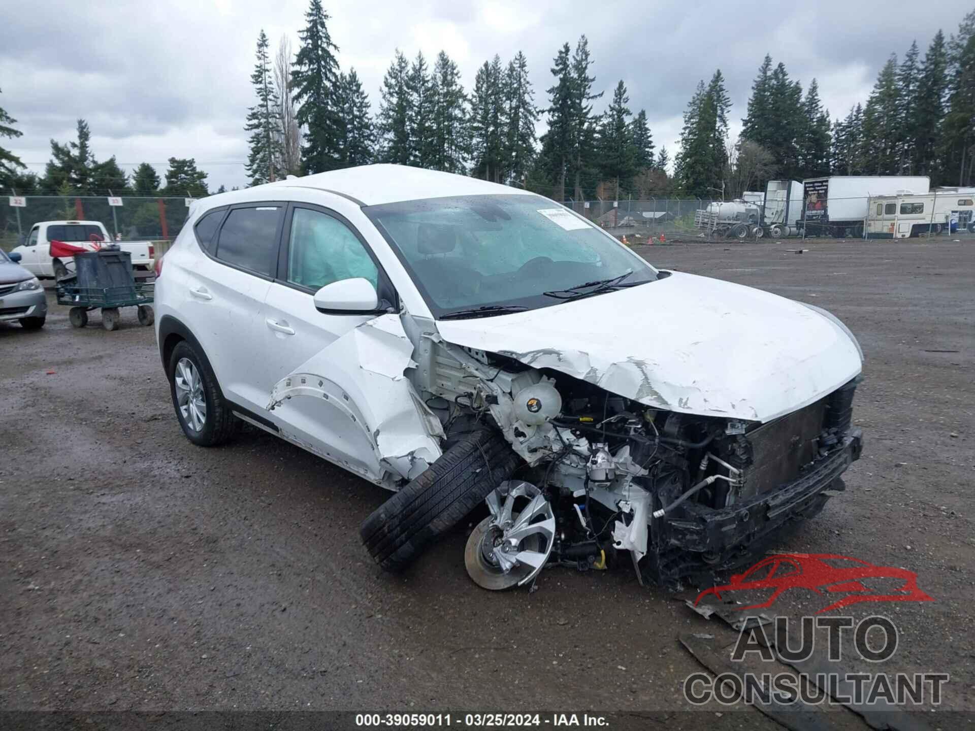 HYUNDAI TUCSON 2019 - KM8J2CA43KU941211