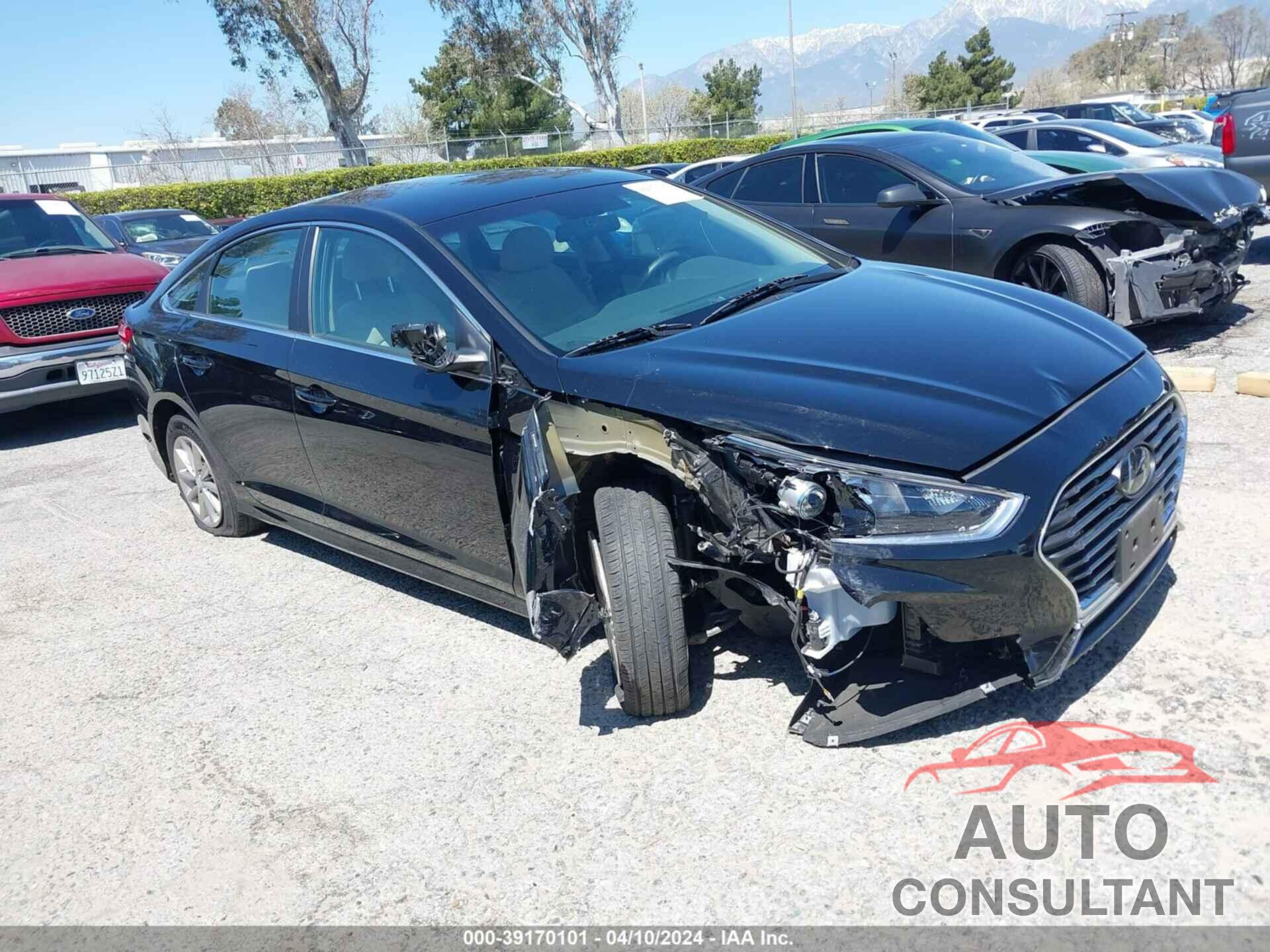 HYUNDAI SONATA 2019 - 5NPE24AFXKH756287