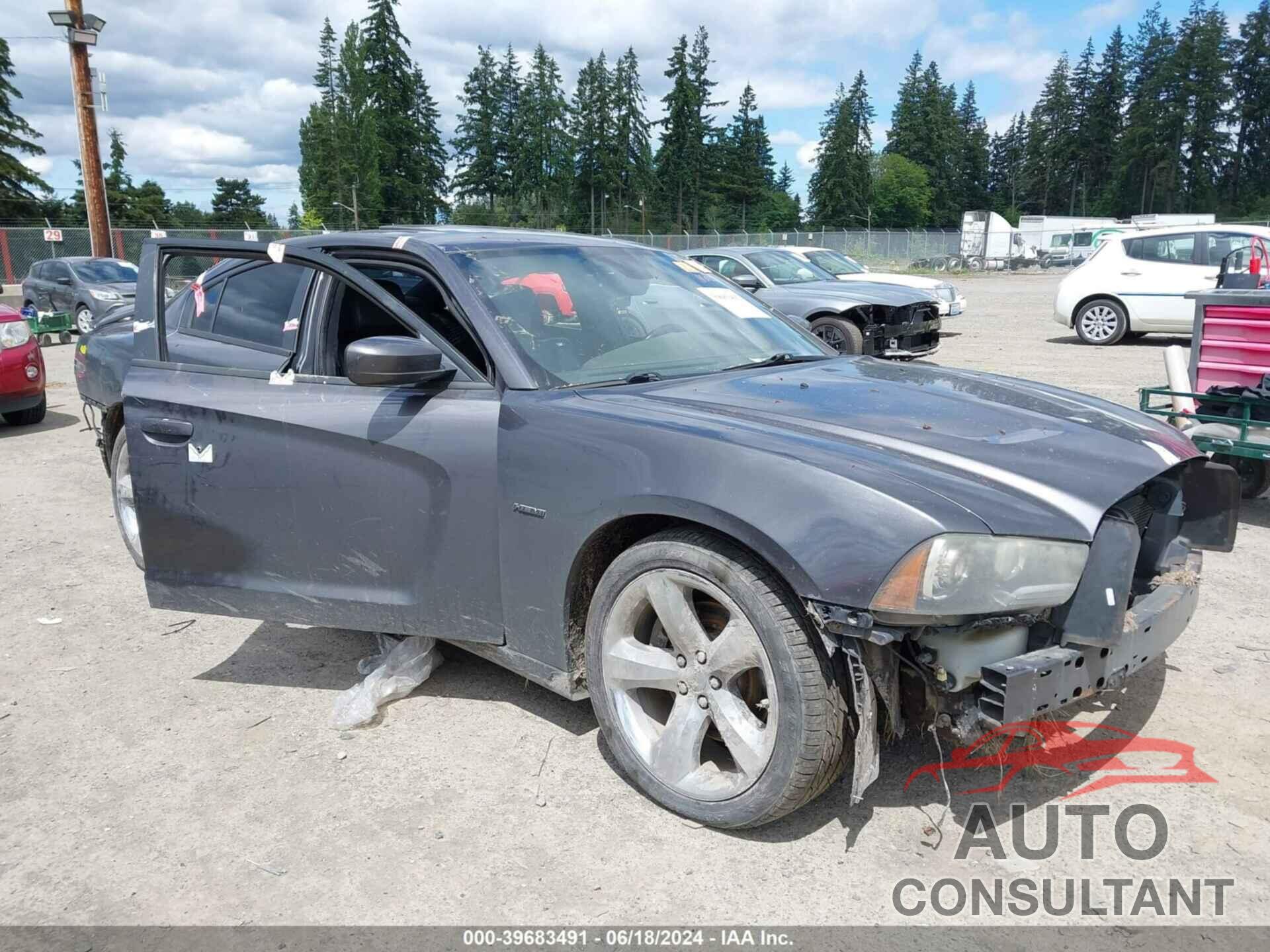 DODGE CHARGER 2013 - 2C3CDXCT1DH604663