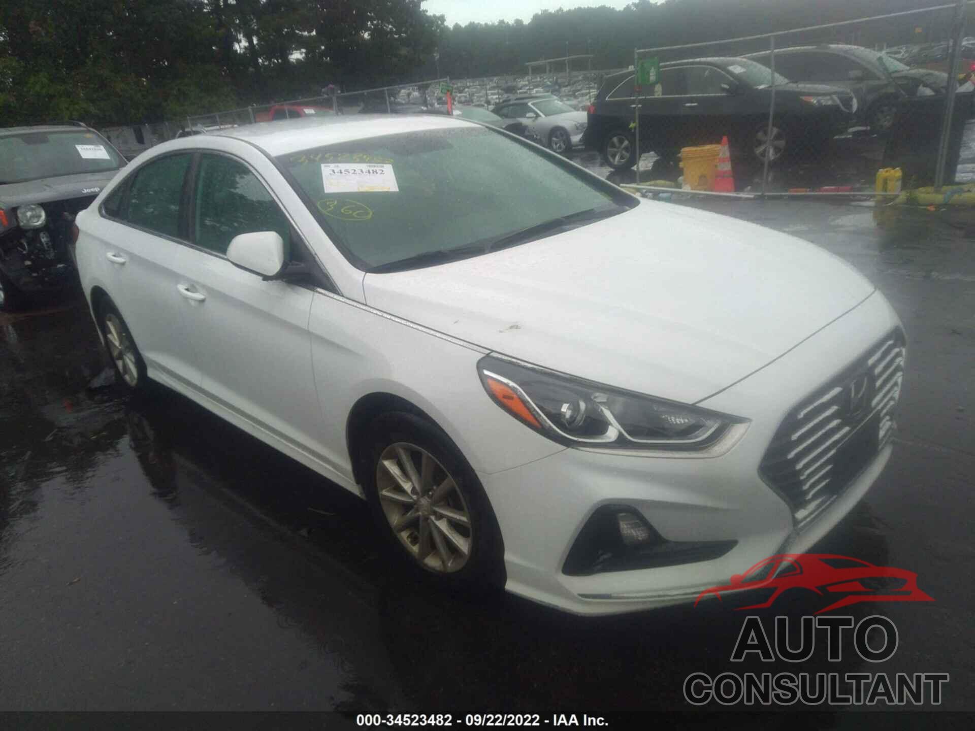 HYUNDAI SONATA 2019 - 5NPE24AF4KH778351