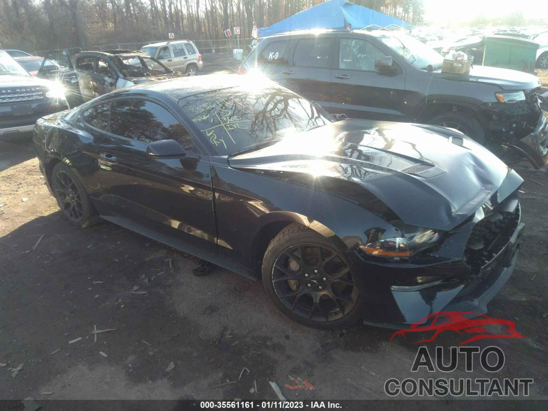 FORD MUSTANG 2019 - 1FA6P8THXK5173221