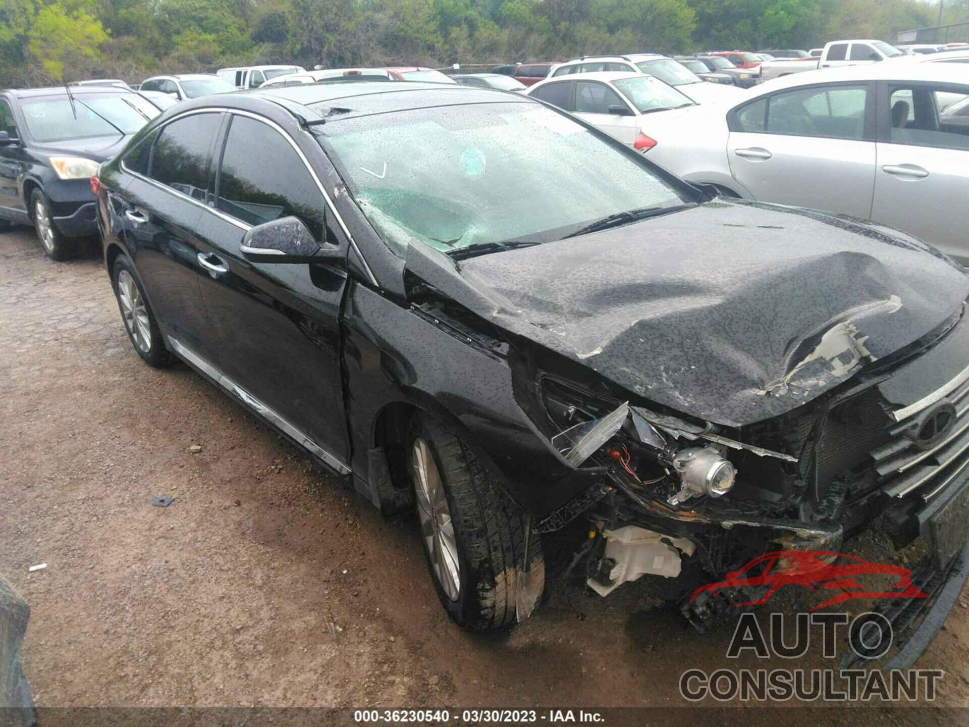HYUNDAI SONATA 2015 - 5NPE34AF6FH176506