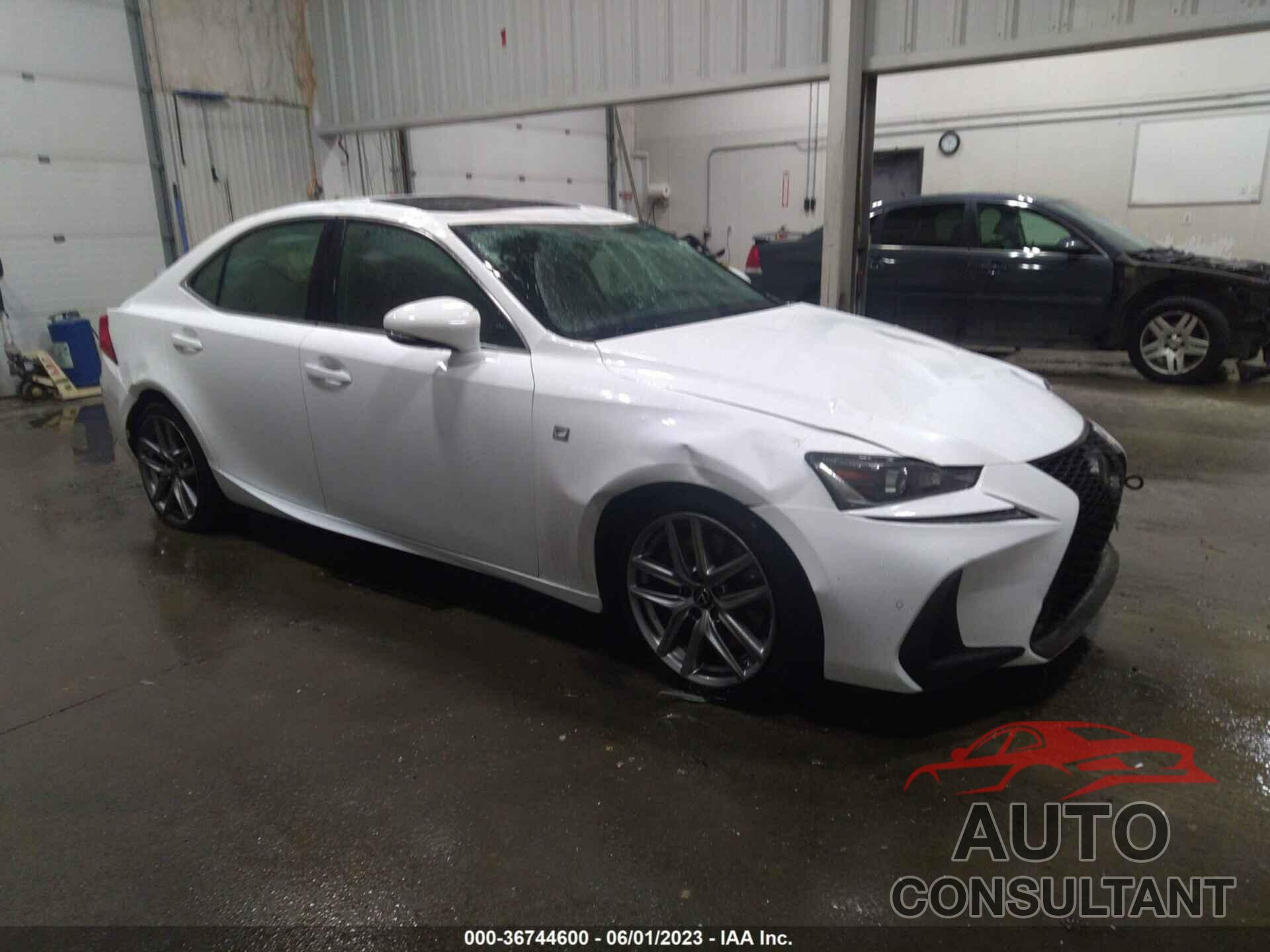 LEXUS IS 2019 - JTHC81D22K5034288