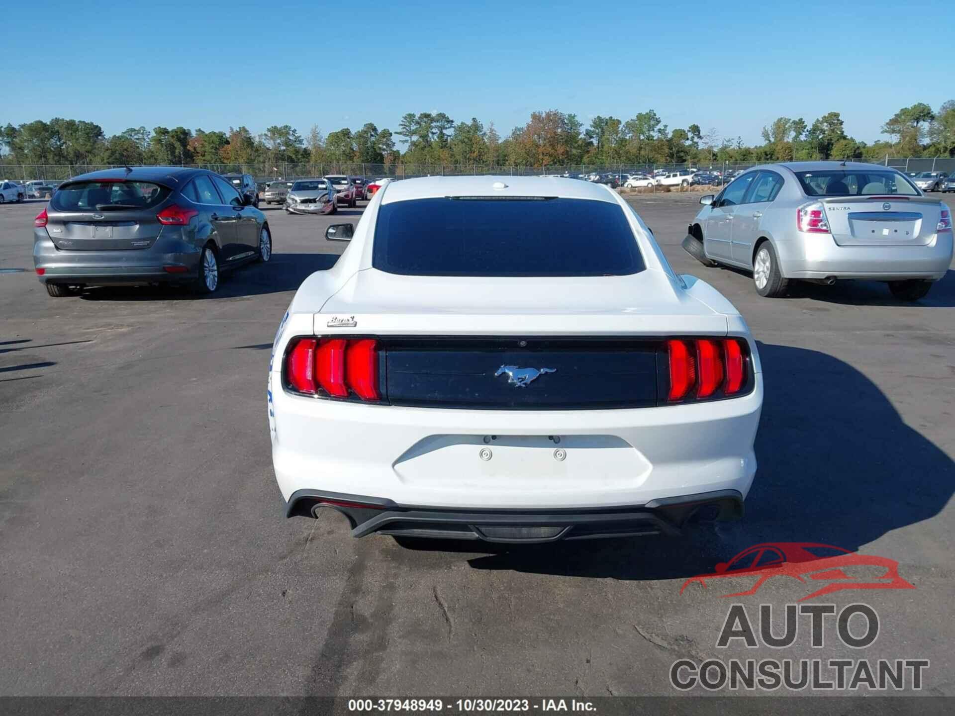 FORD MUSTANG 2019 - 1FA6P8TH1K5141418