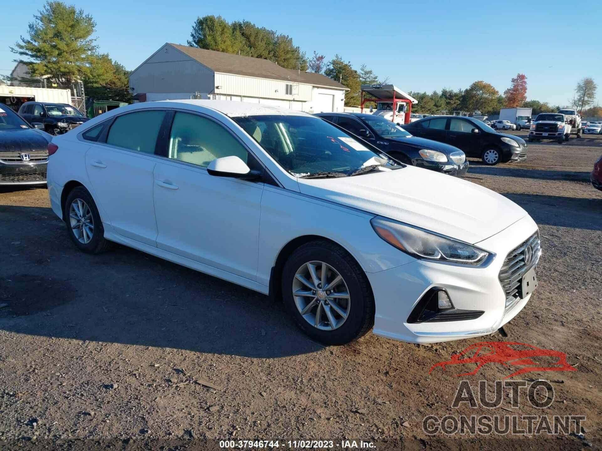 HYUNDAI SONATA 2019 - 5NPE24AF2KH777697